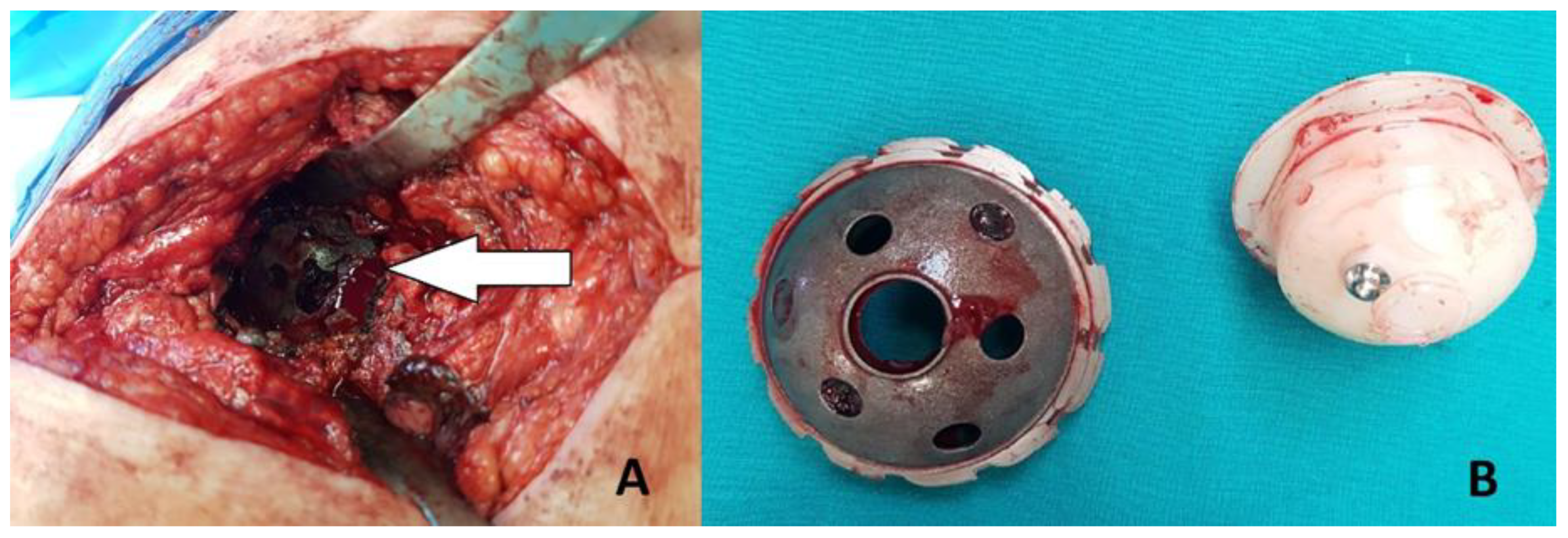 Geriatrics 05 00073 g001