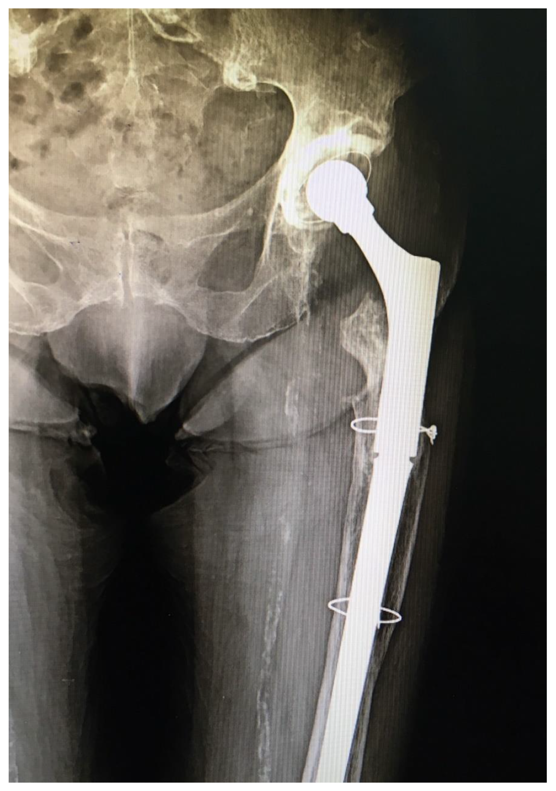 Geriatrics 05 00073 g002