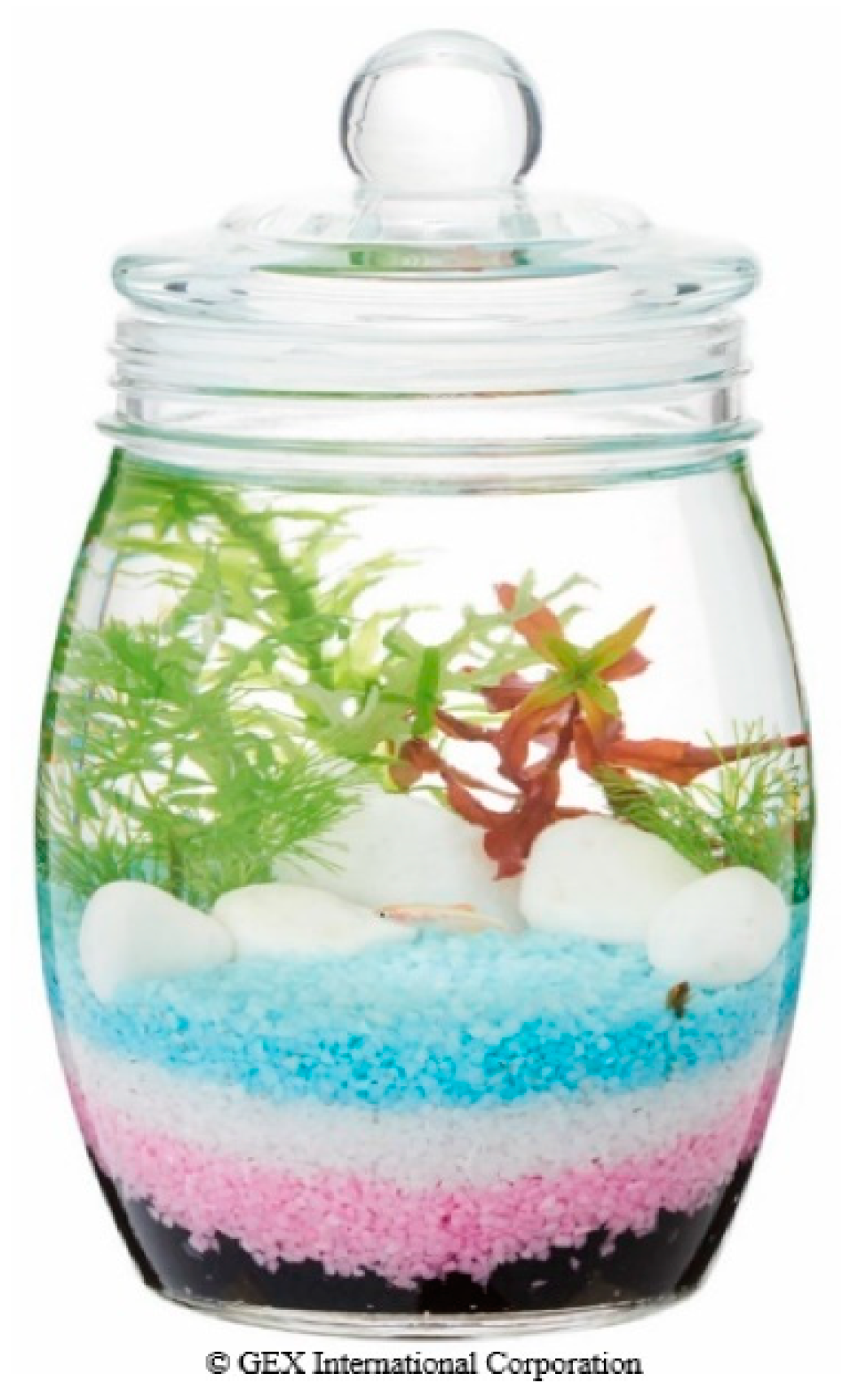 Geriatrics 06 00017 g001