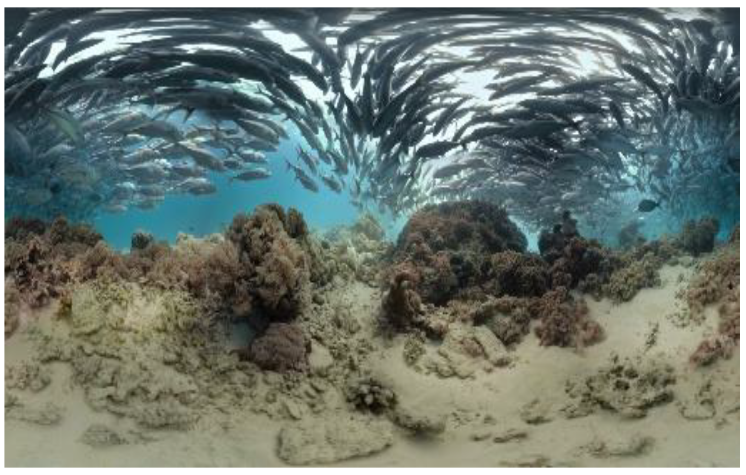 Geriatrics 06 00027 g001b