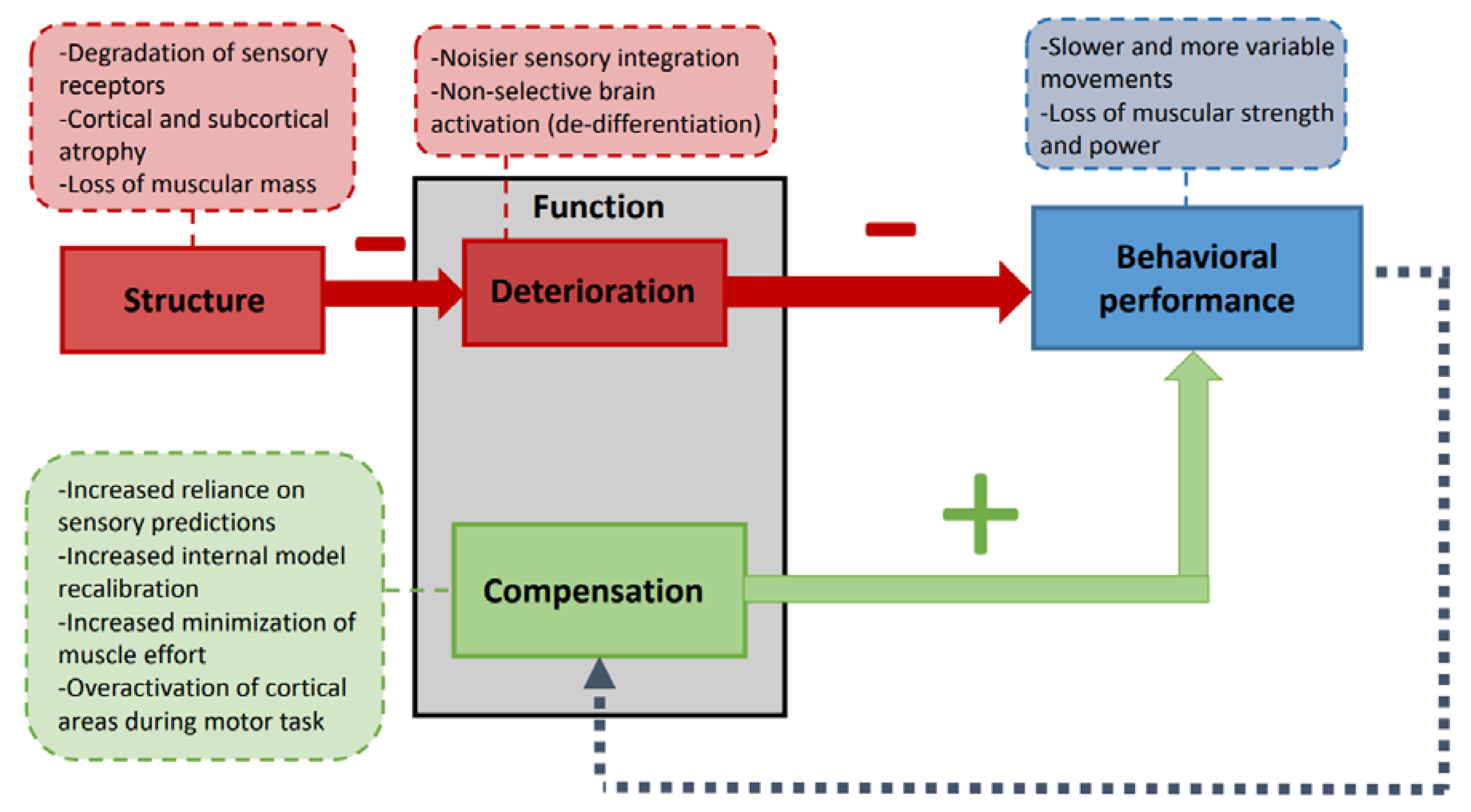 Geriatrics 06 00033 g001
