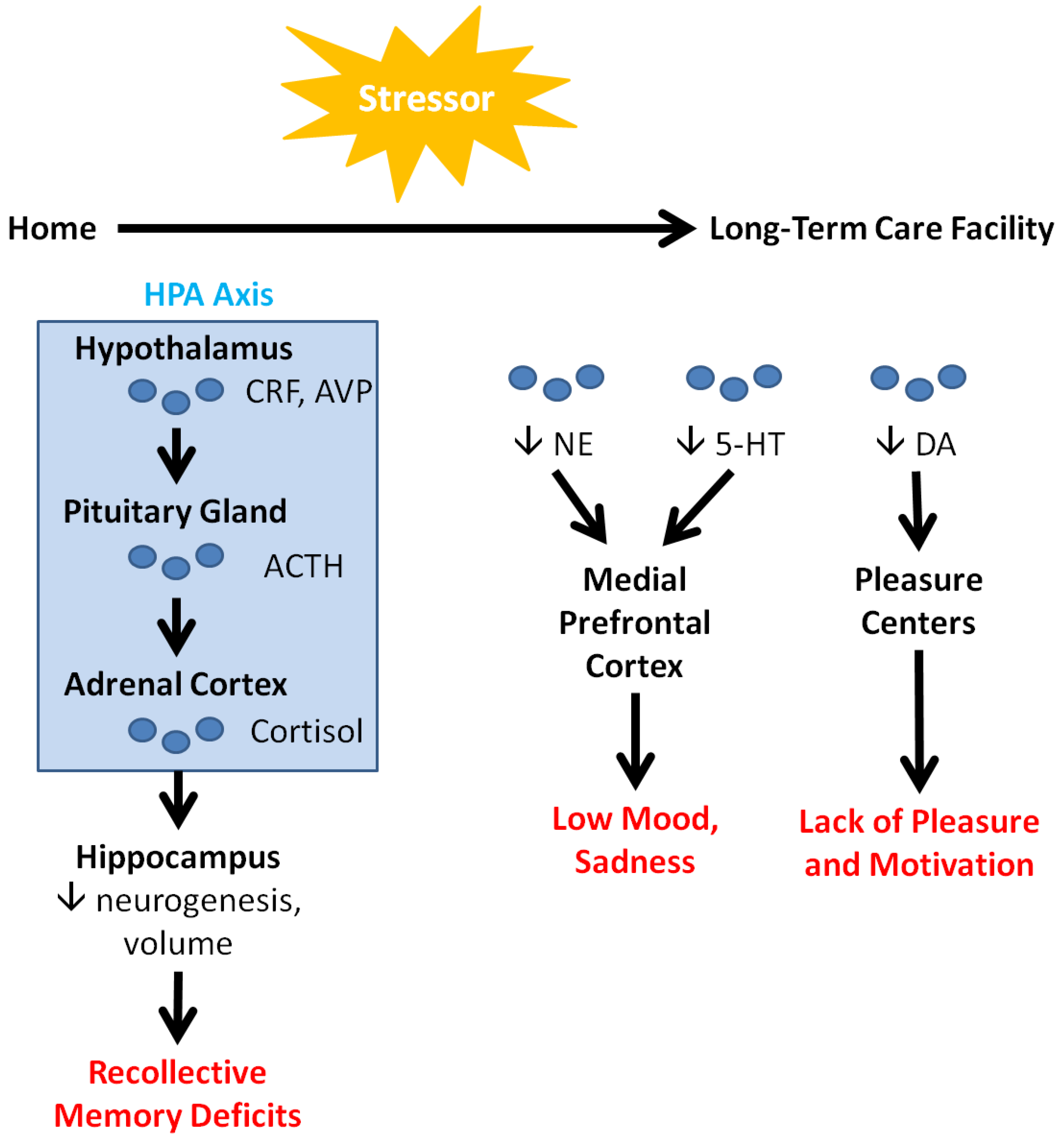Geriatrics 06 00058 g001
