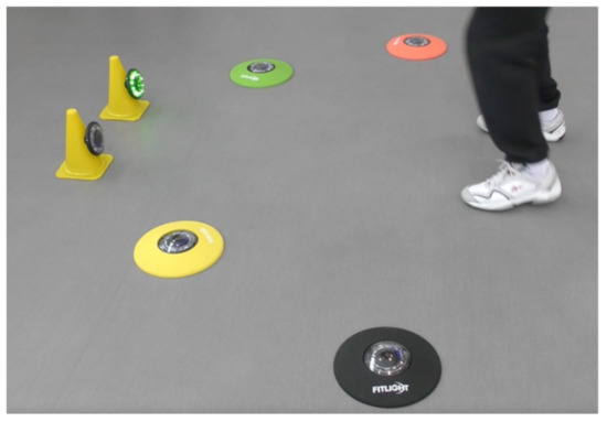 Geriatrics 06 00066 g0a3