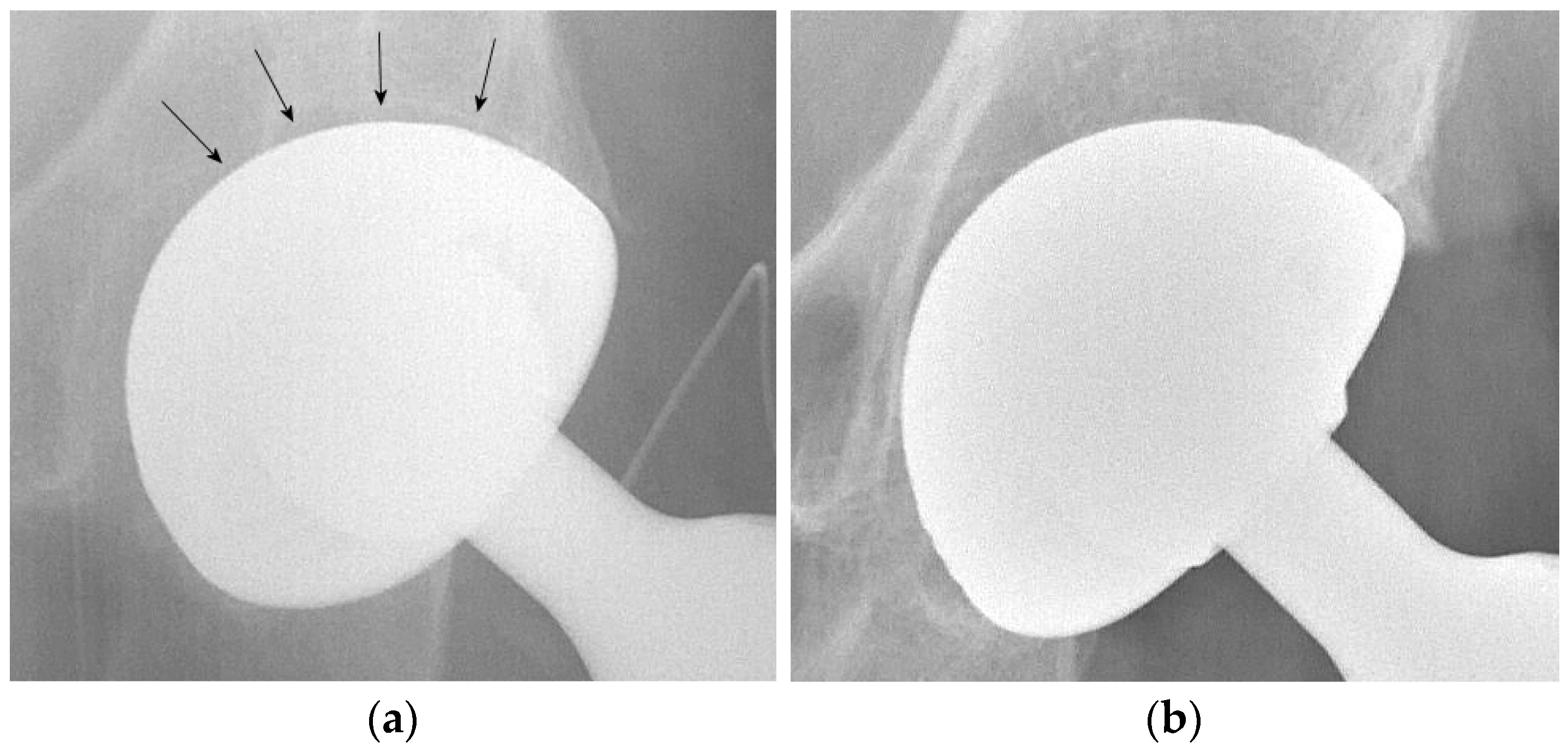 Geriatrics 06 00070 g002