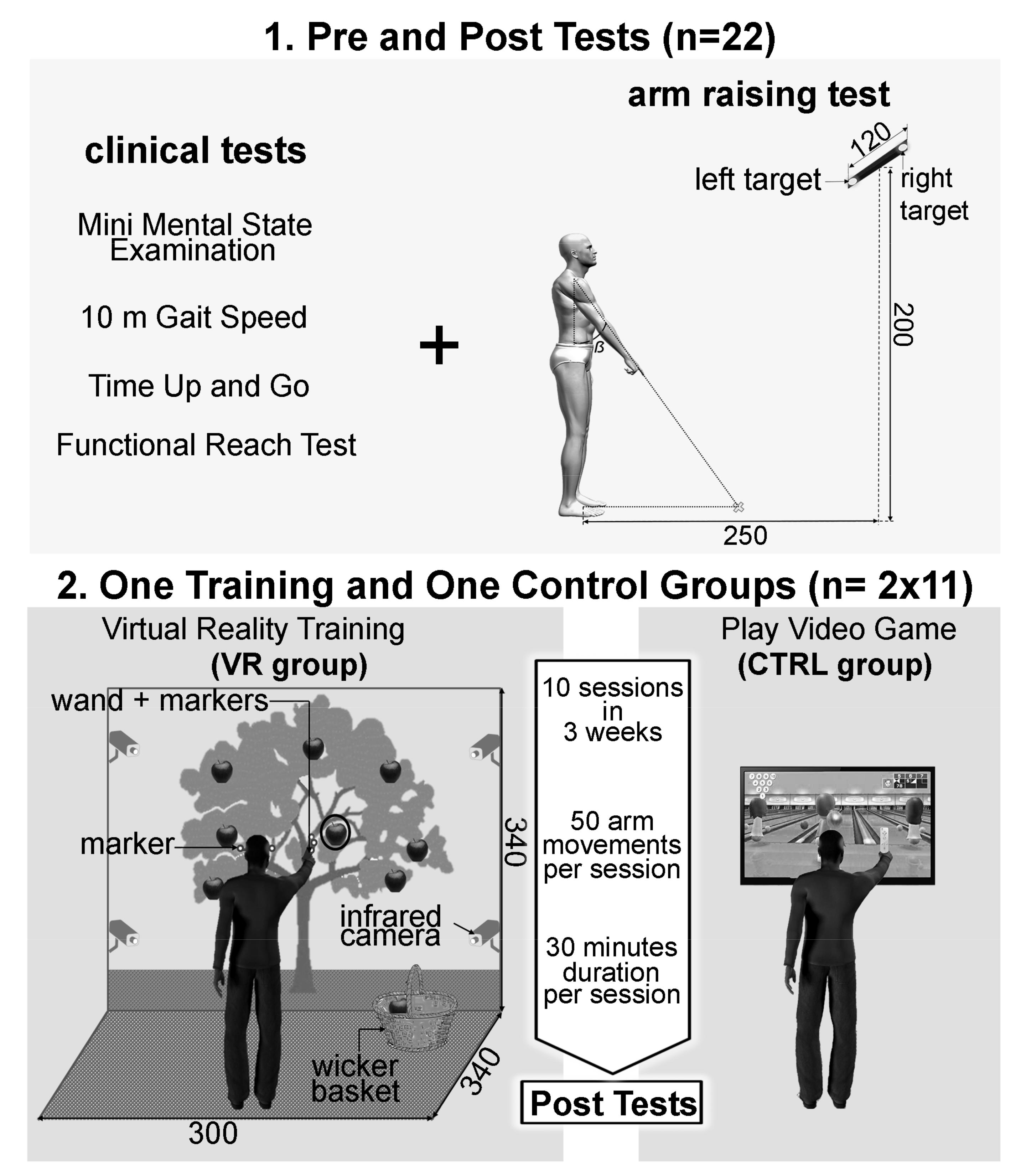 Geriatrics 06 00072 g002