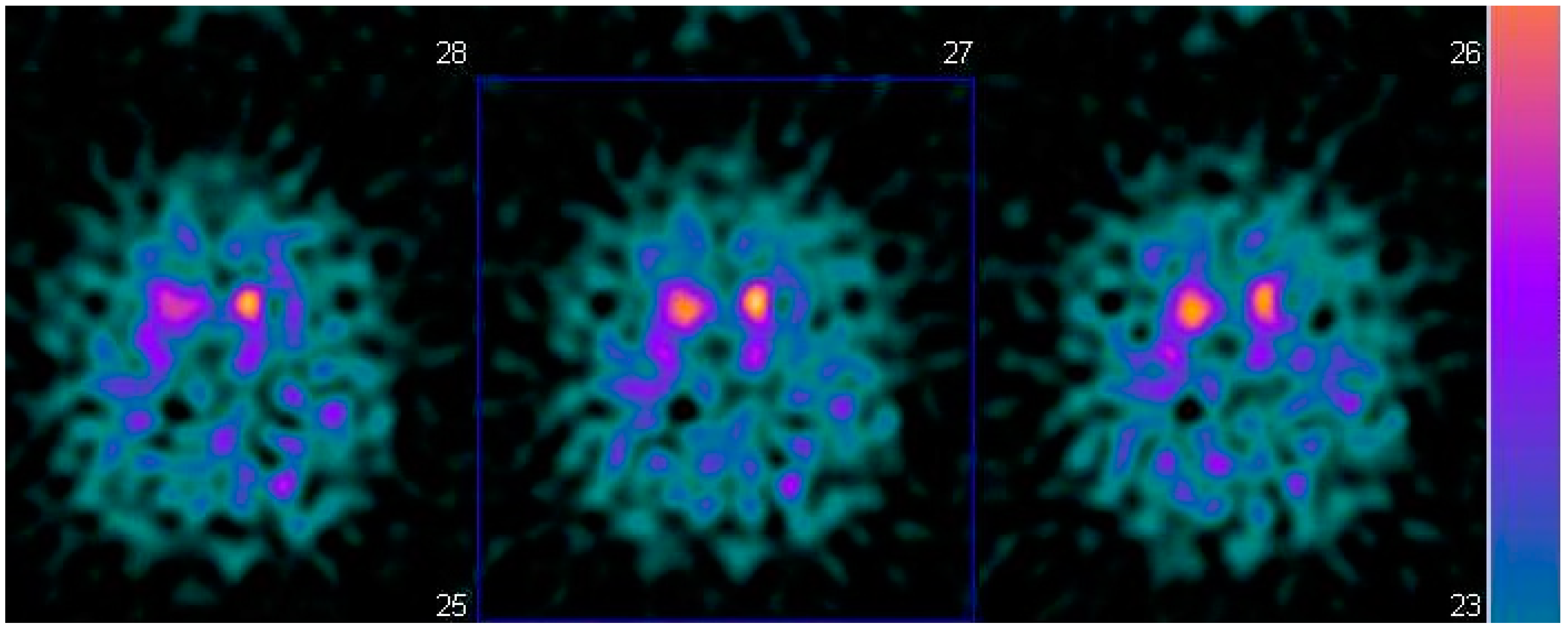 Geriatrics 06 00110 g001