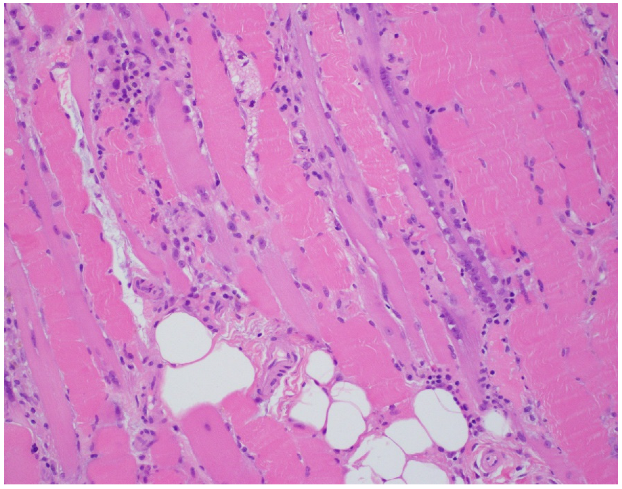 Geriatrics 07 00033 g001 Geriatrics 07 00033 g001