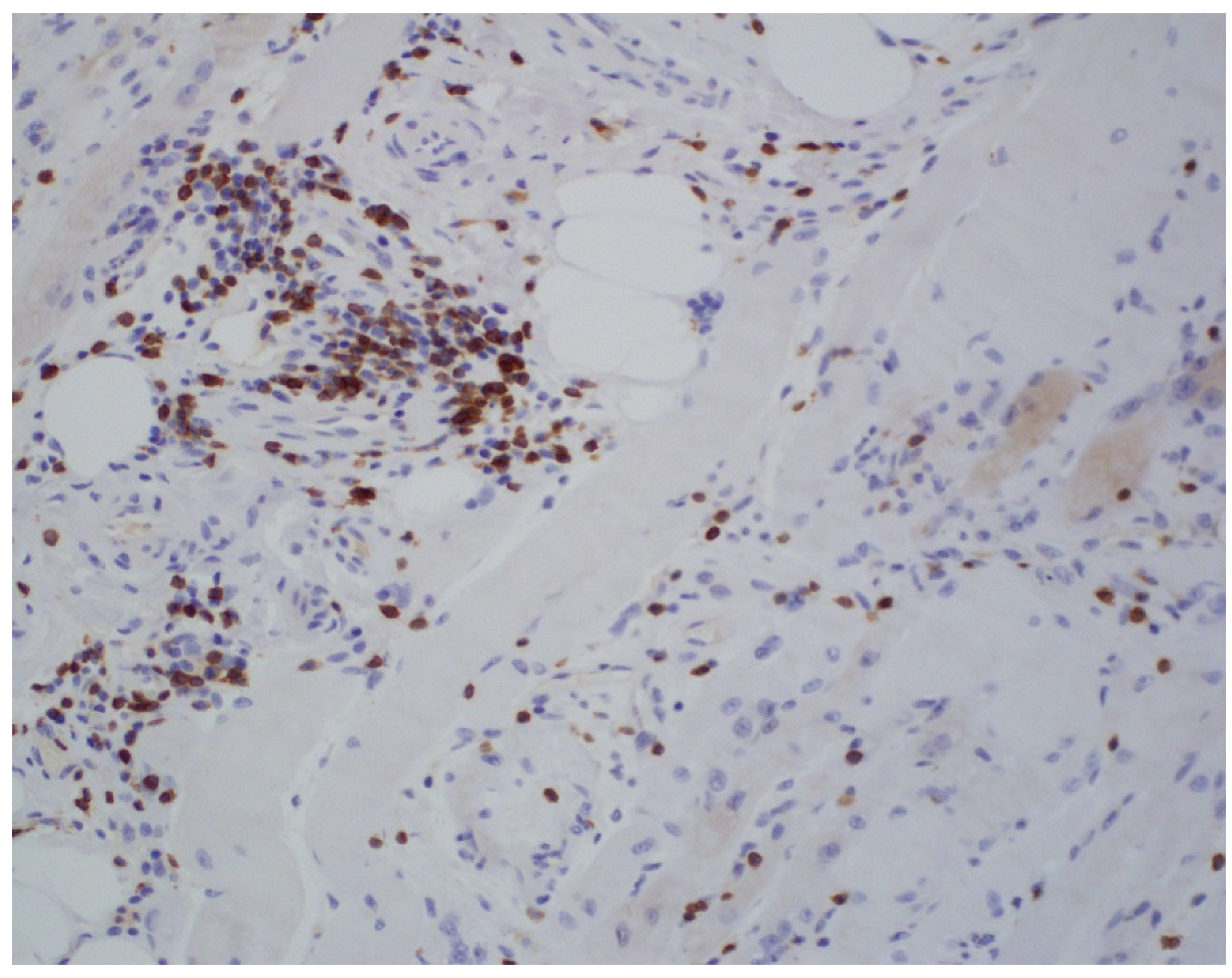 Geriatrics 07 00033 g002 Geriatrics 07 00033 g002