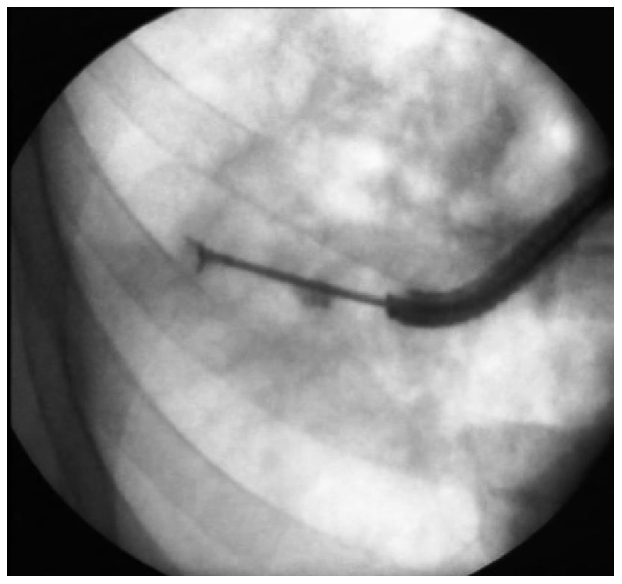 Geriatrics 07 00034 g001