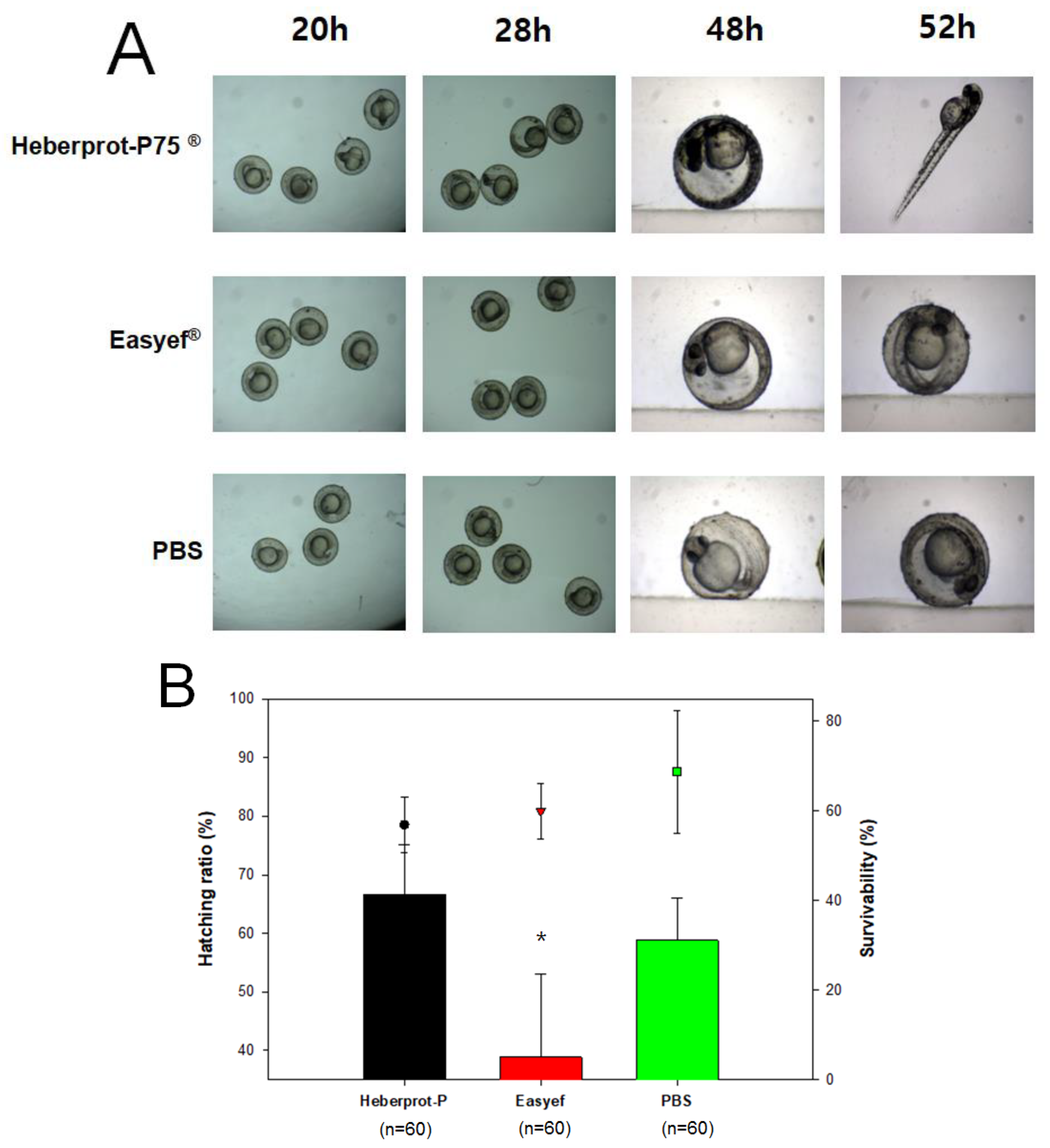 Geriatrics 07 00045 g004