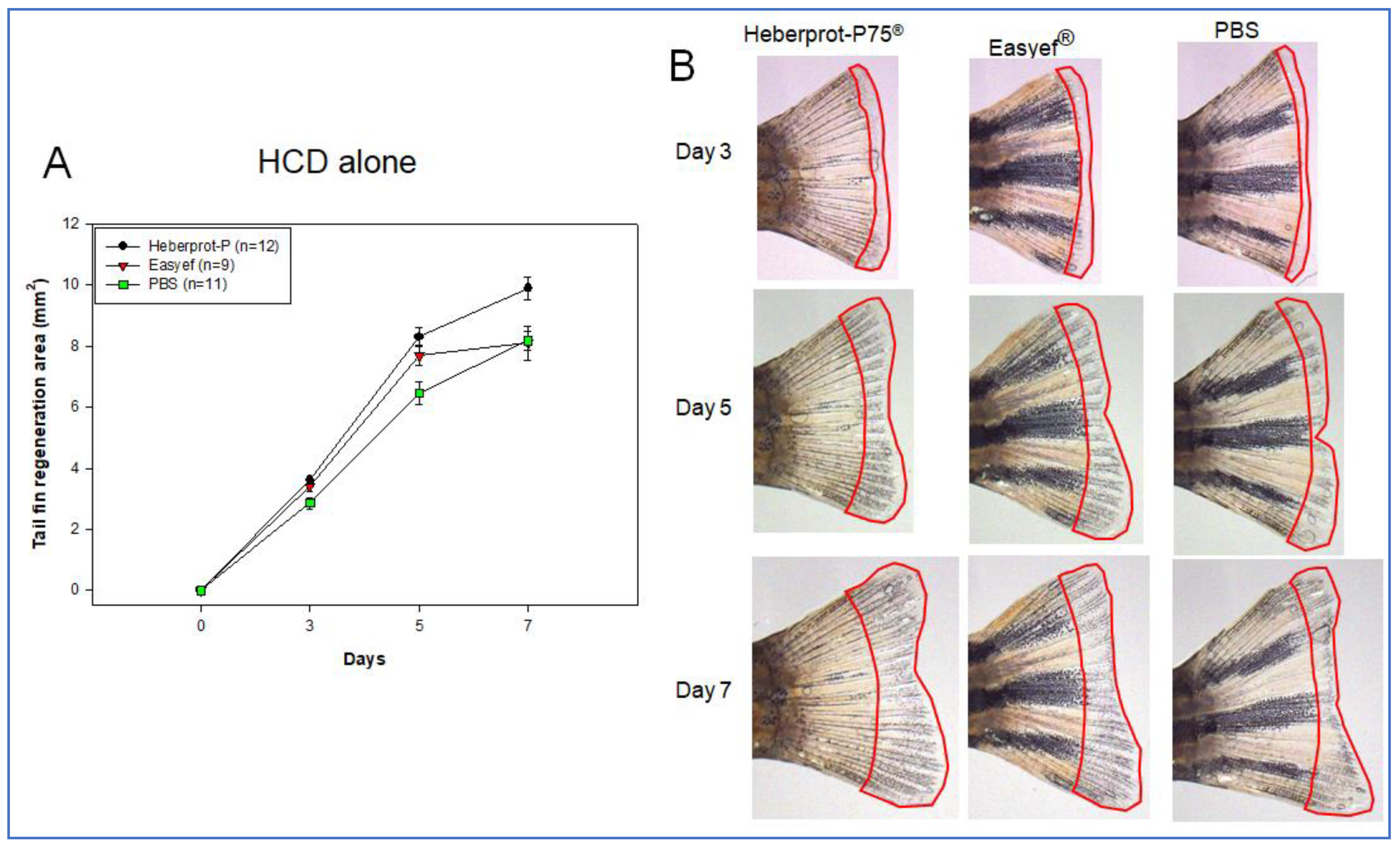 Geriatrics 07 00045 g007