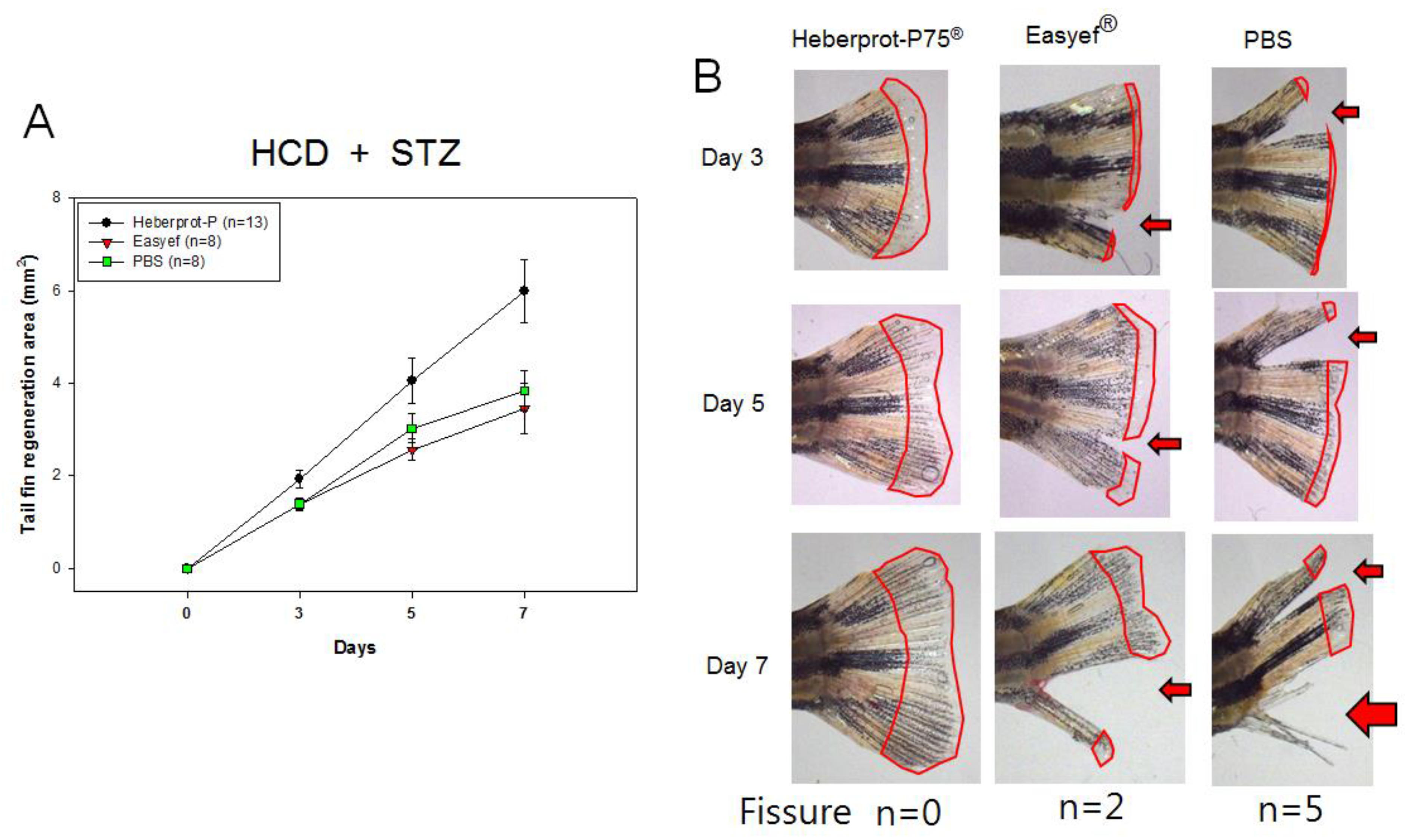 Geriatrics 07 00045 g008