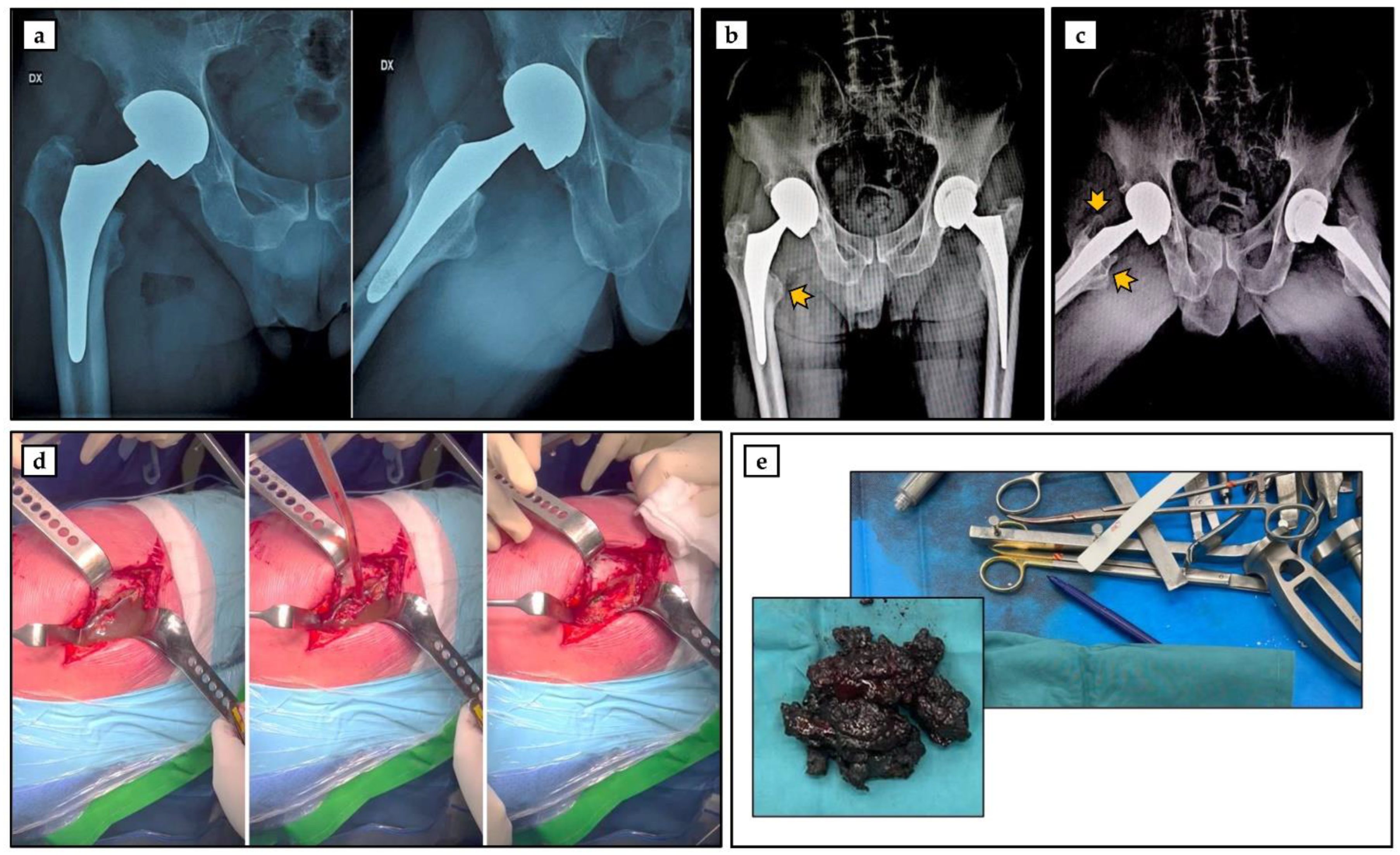 Geriatrics 08 00092 g001