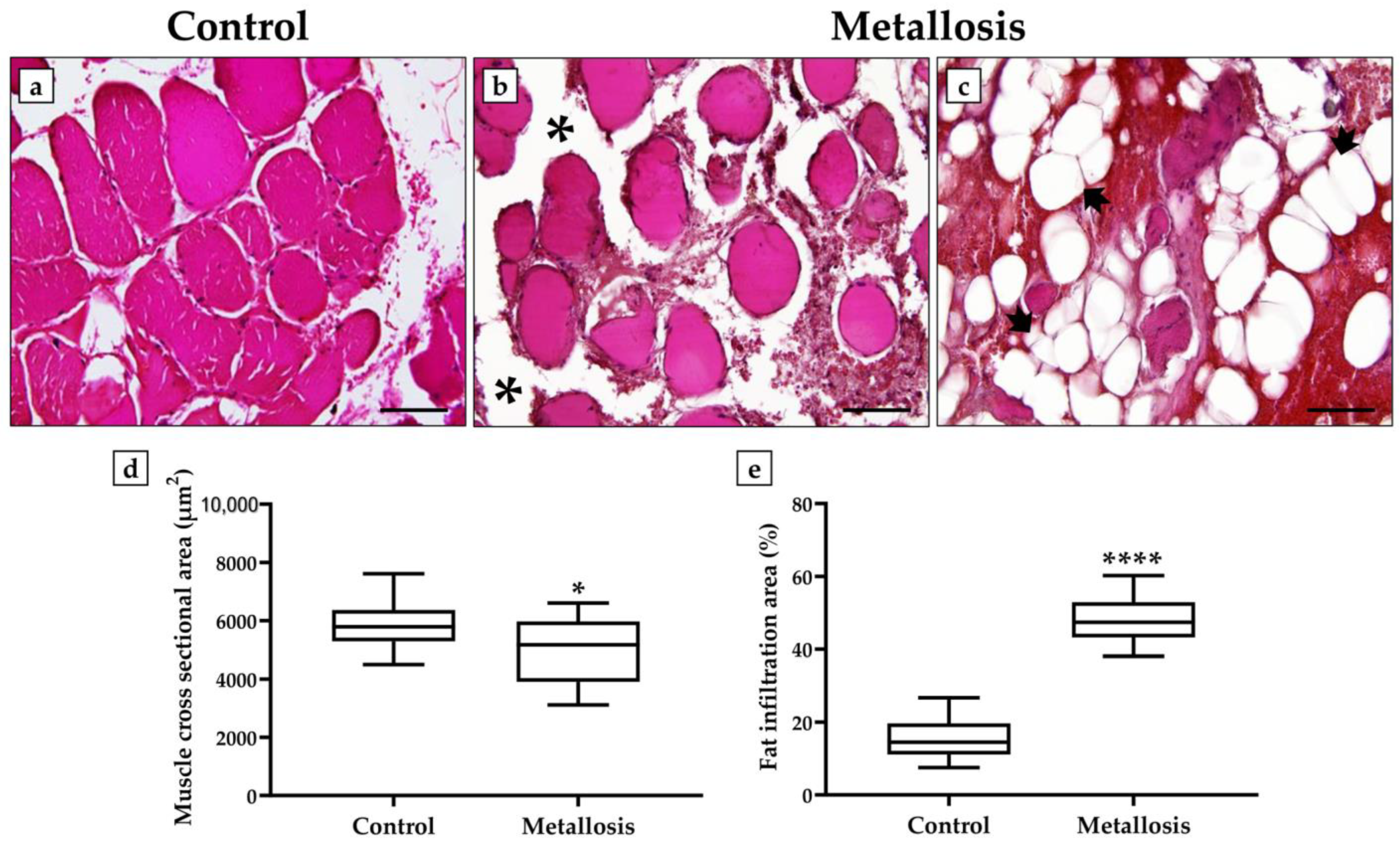 Geriatrics 08 00092 g002