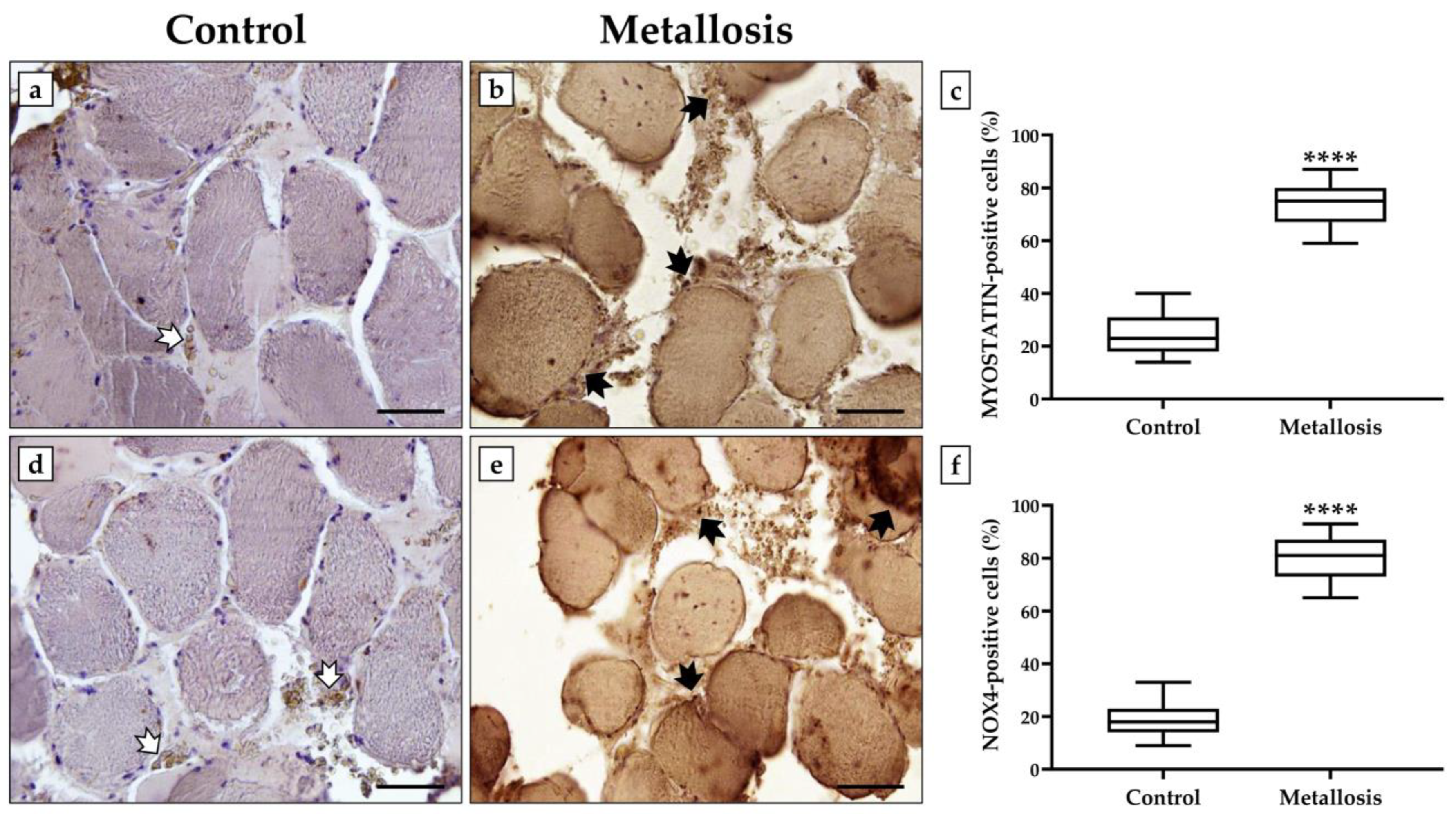 Geriatrics 08 00092 g003