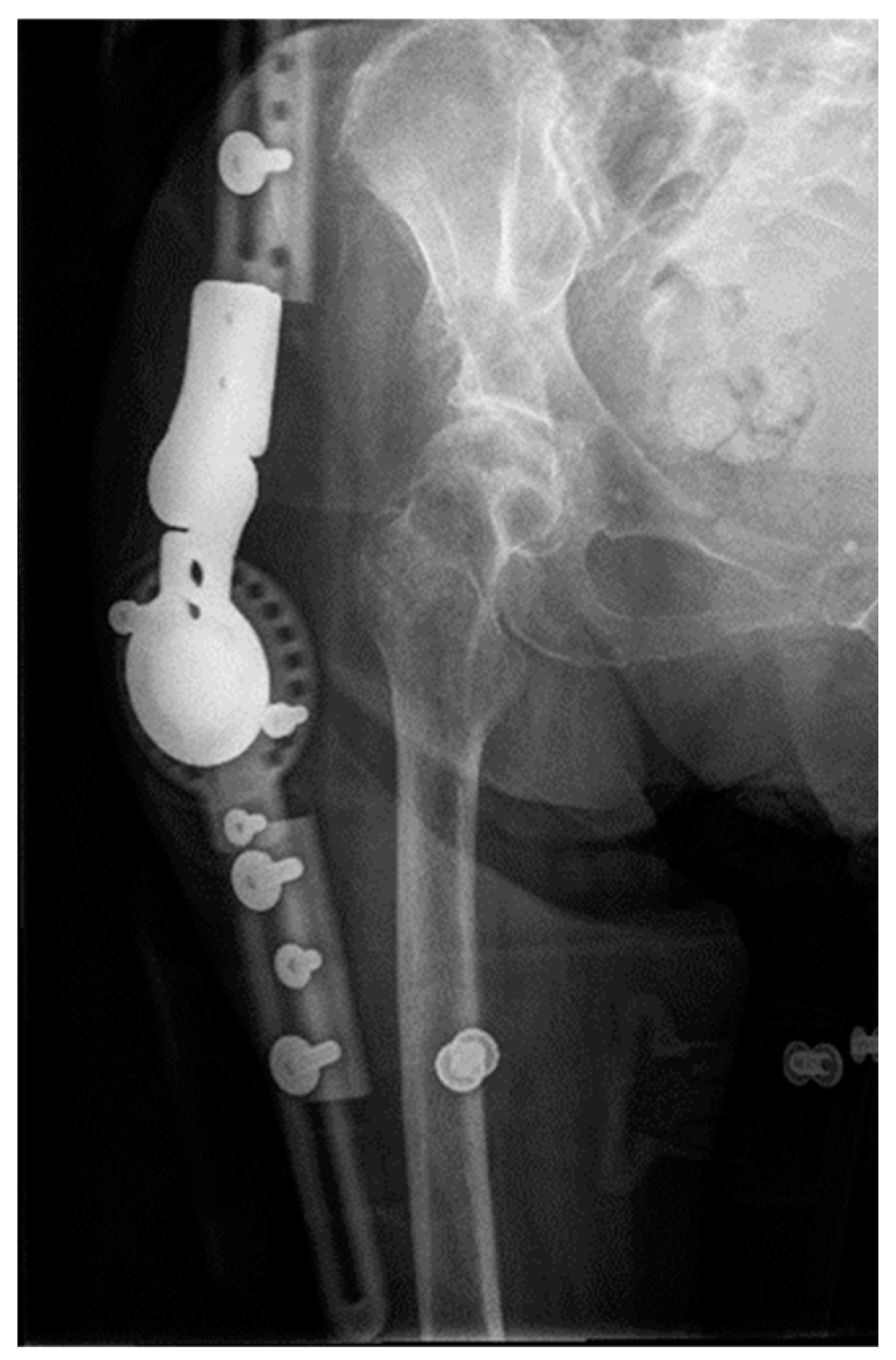 Geriatrics 08 00117 g005