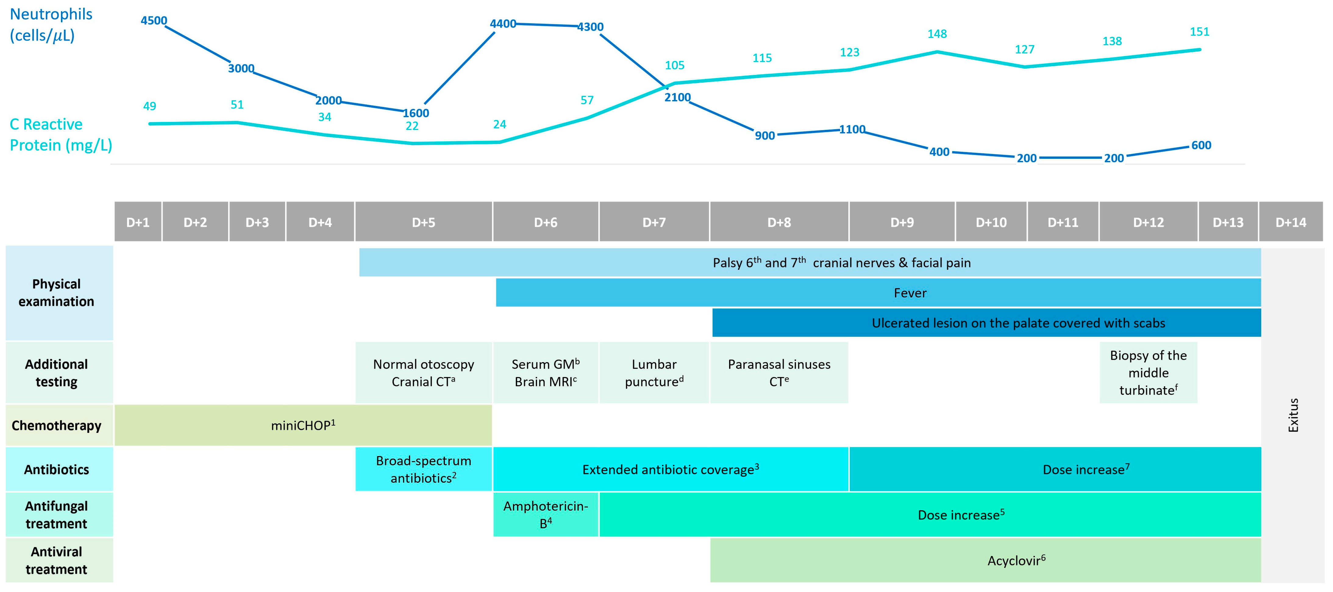 Geriatrics 09 00004 g001