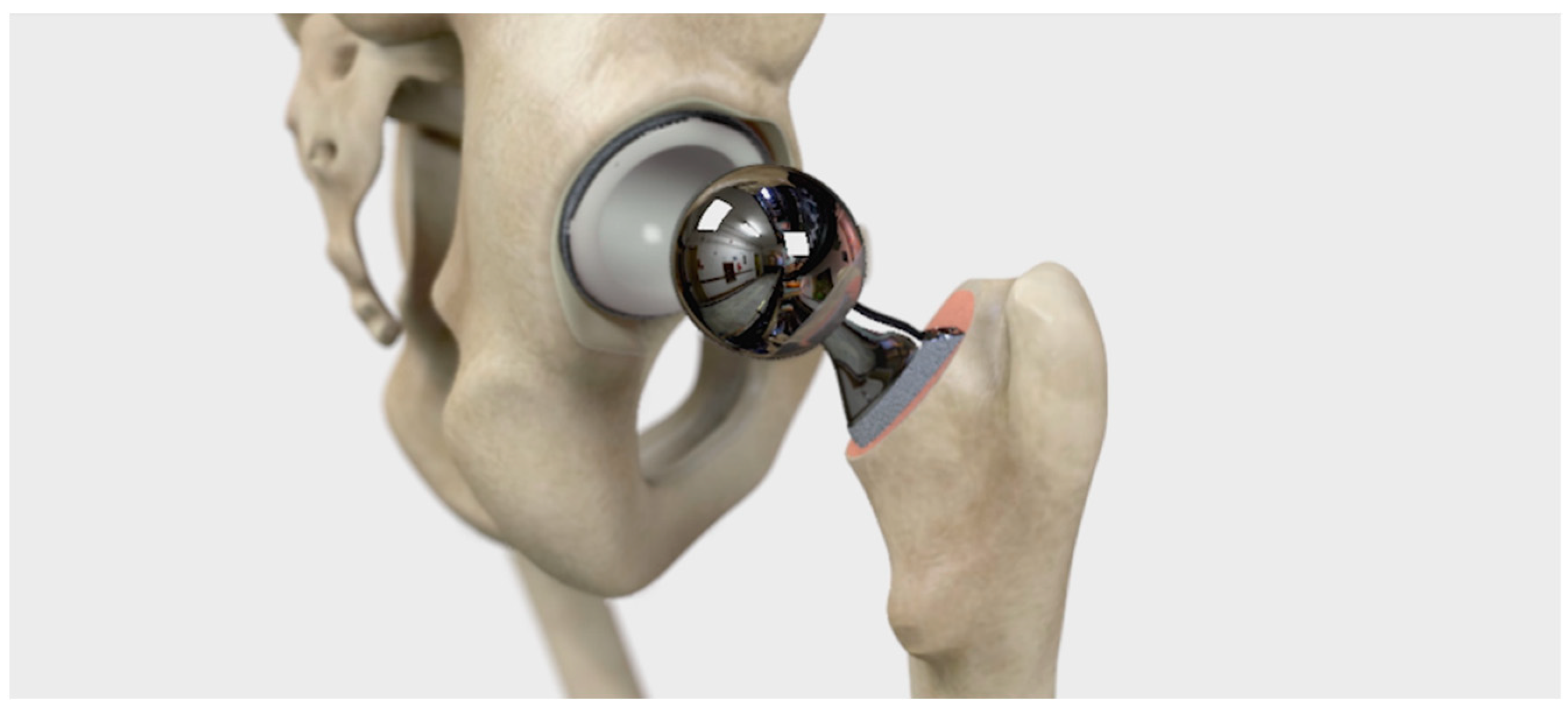 Geriatrics 09 00019 g003