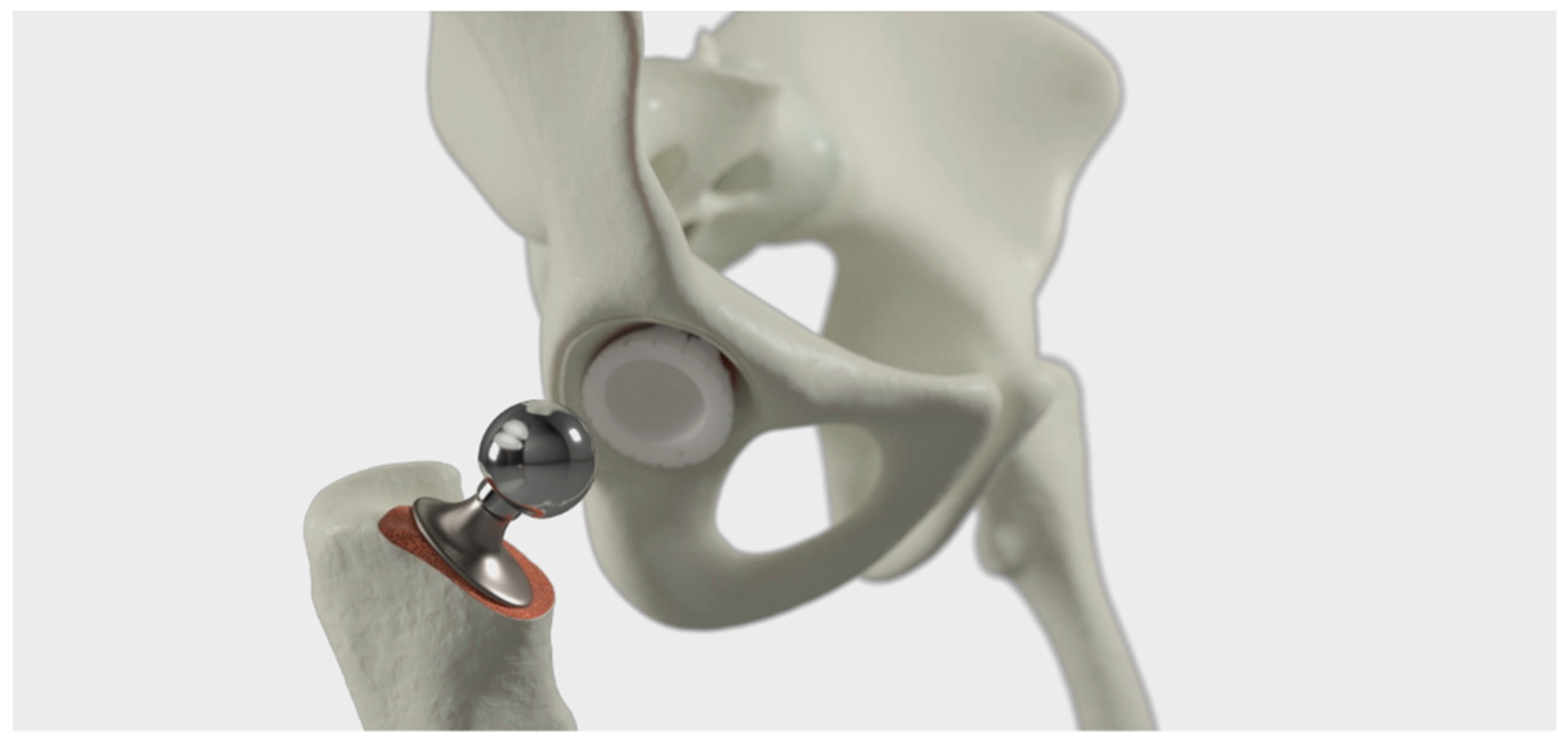 Geriatrics 09 00019 g004