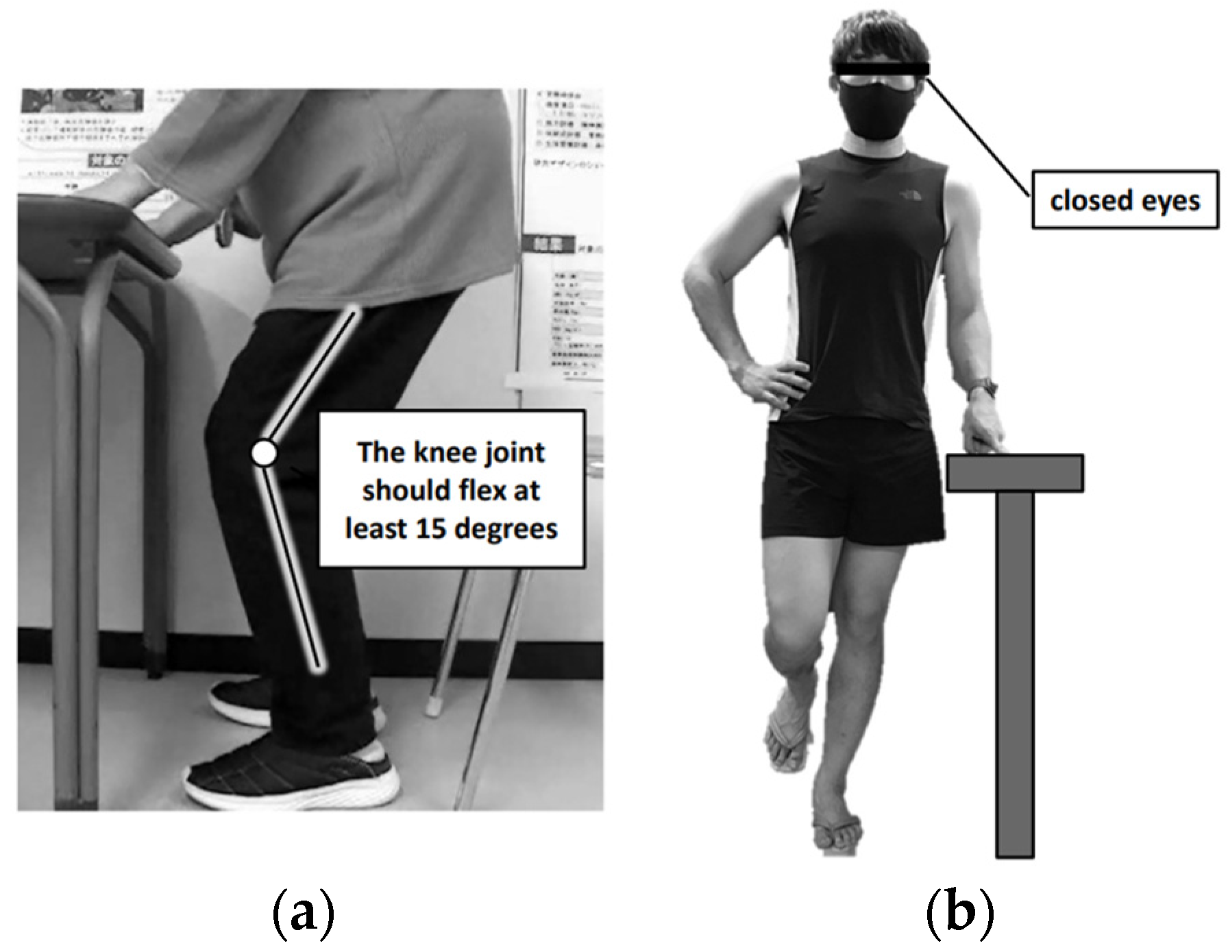 Geriatrics 09 00020 g001