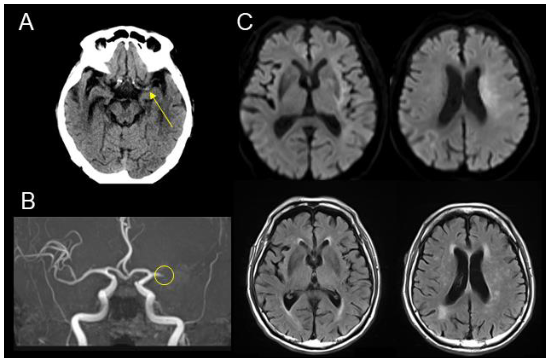 Geriatrics 09 00030 g001