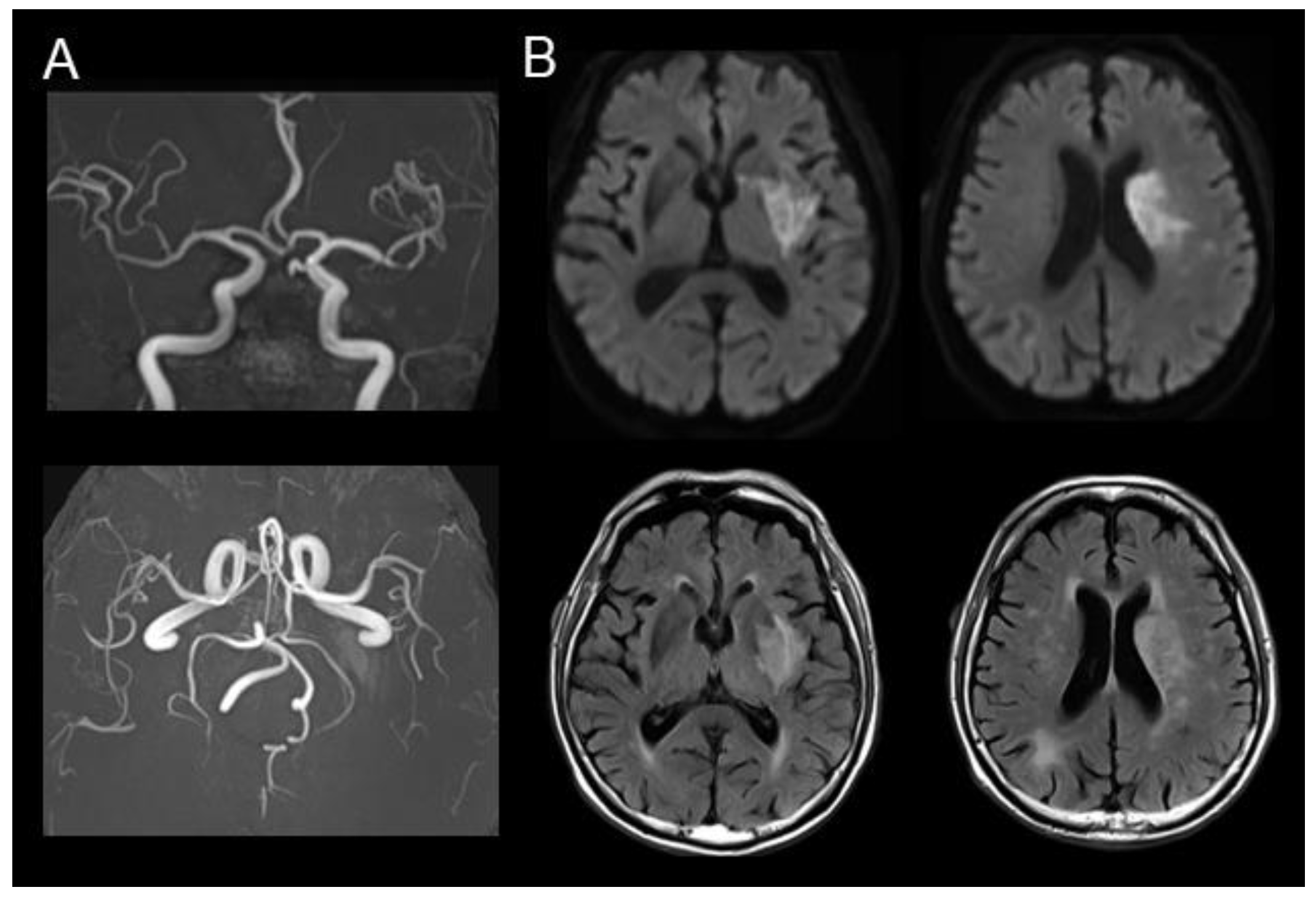 Geriatrics 09 00030 g002