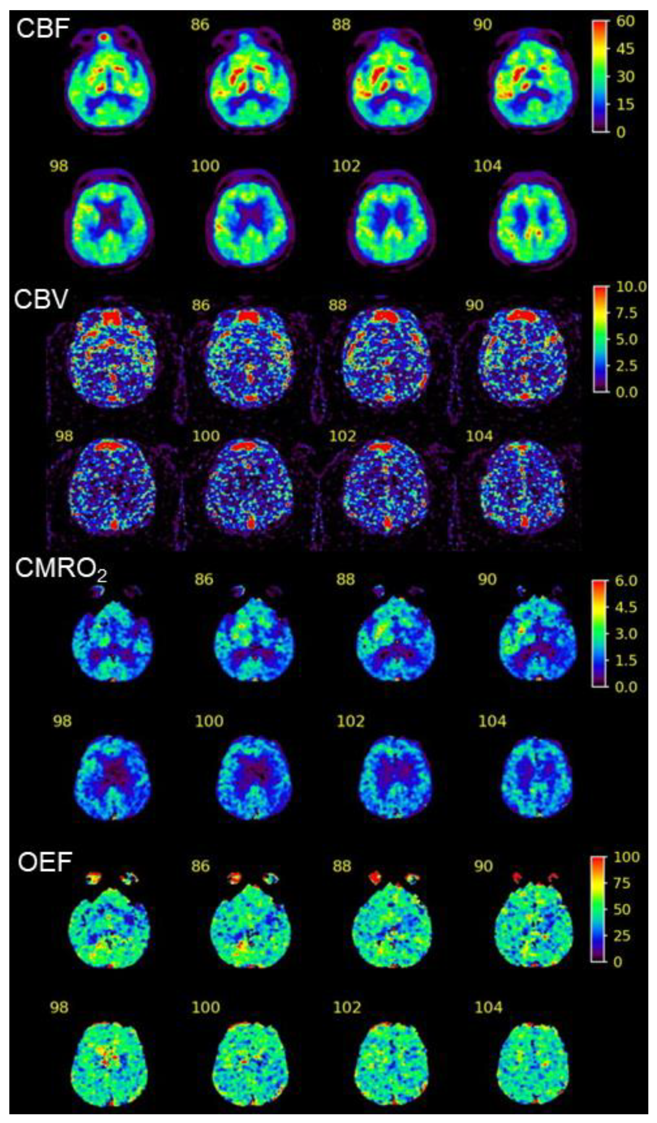 Geriatrics 09 00030 g005