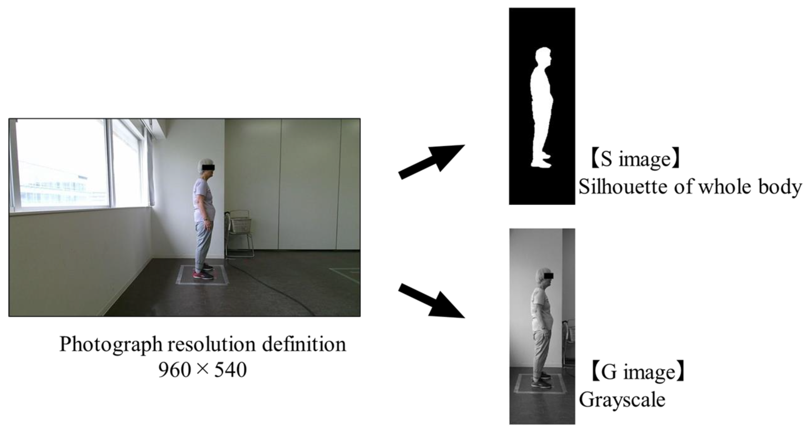 Geriatrics 09 00040 g001 Geriatrics 09 00040 g001