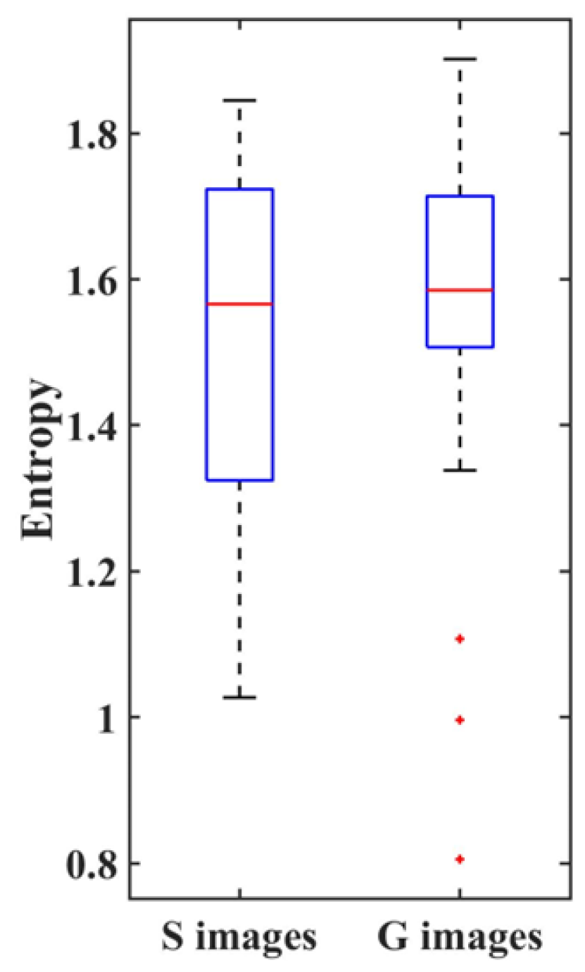 Geriatrics 09 00040 g002 Geriatrics 09 00040 g002