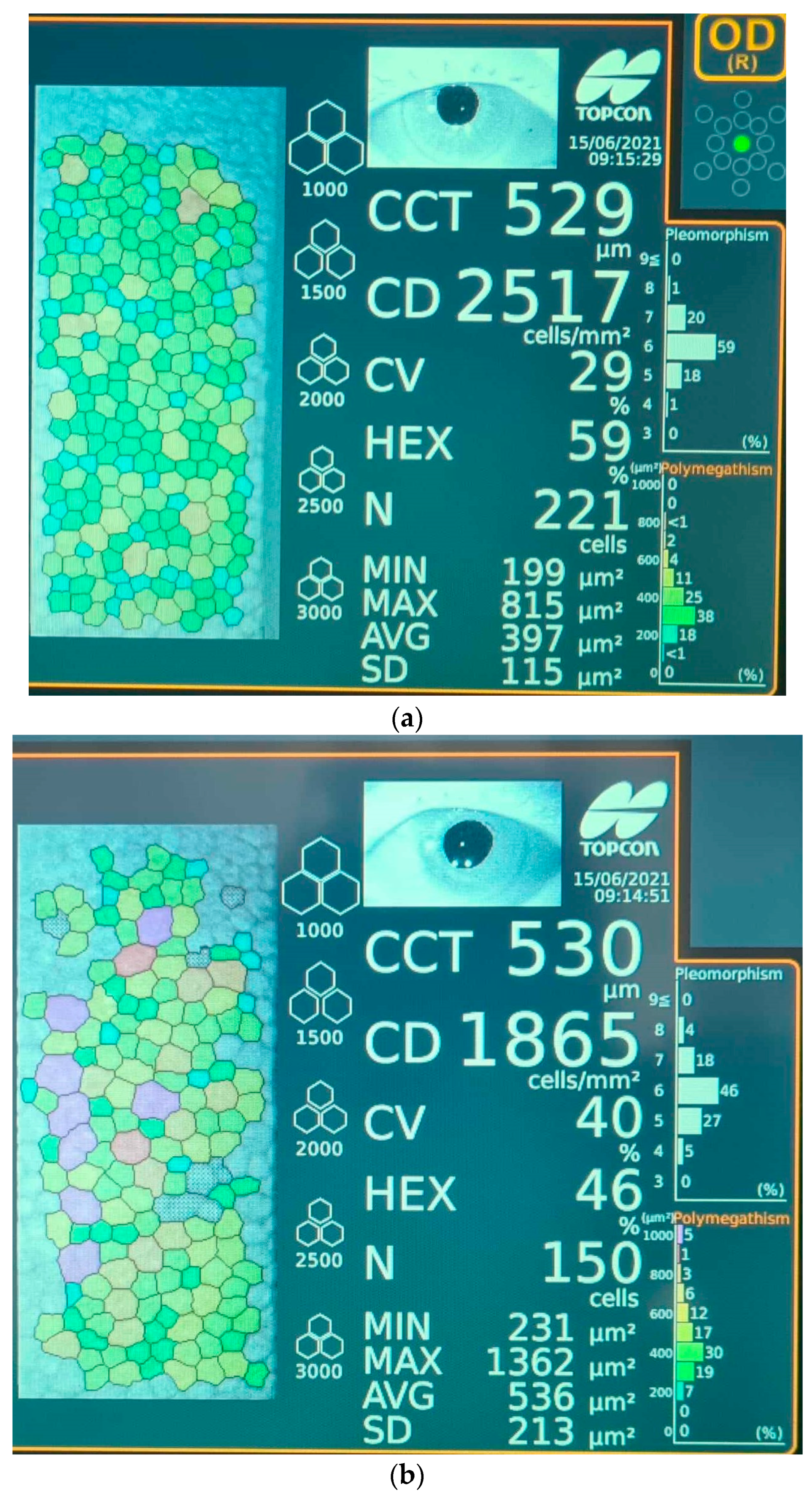 Geriatrics 09 00077 g001