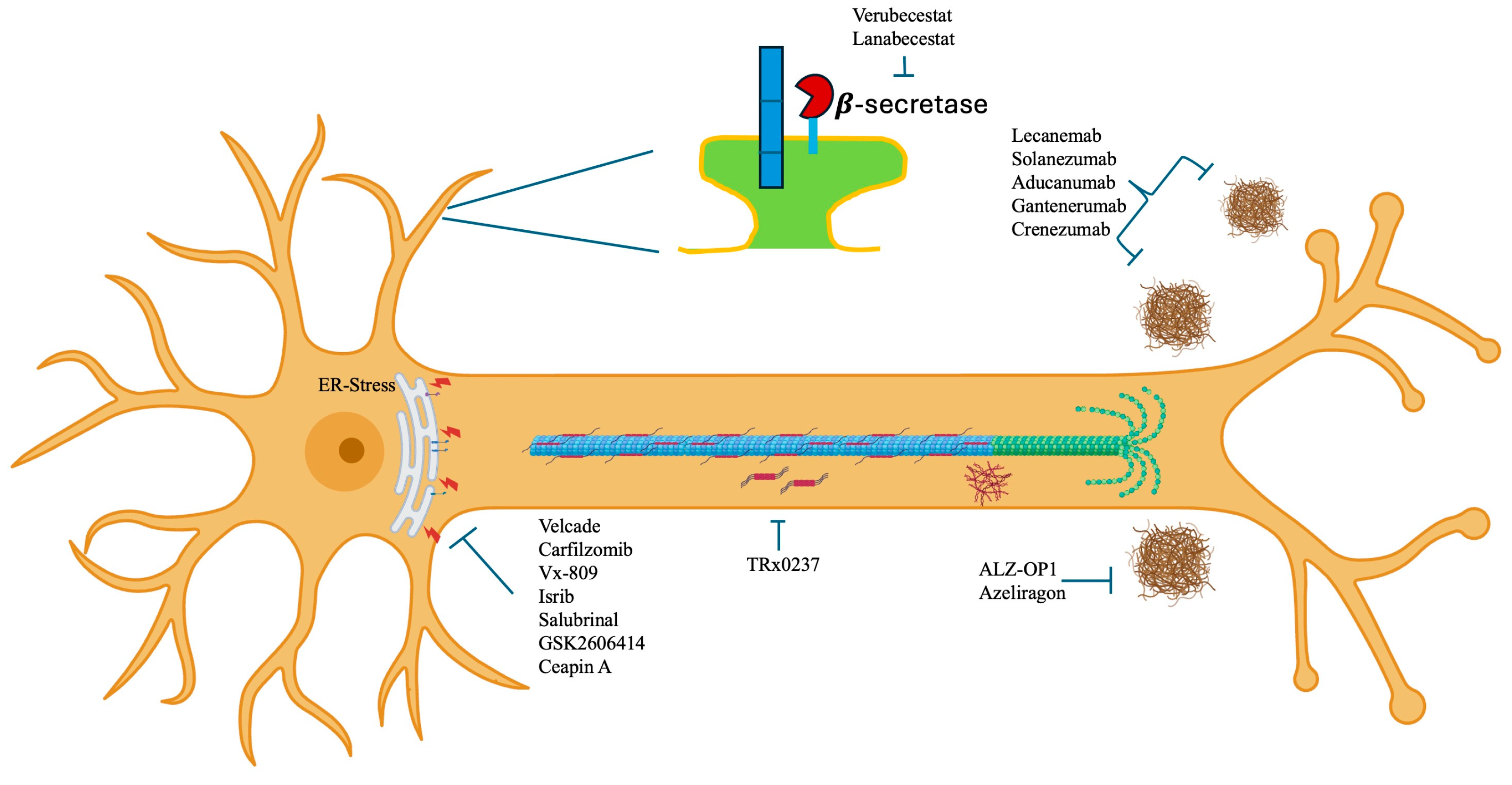 Geriatrics 09 00086 g001