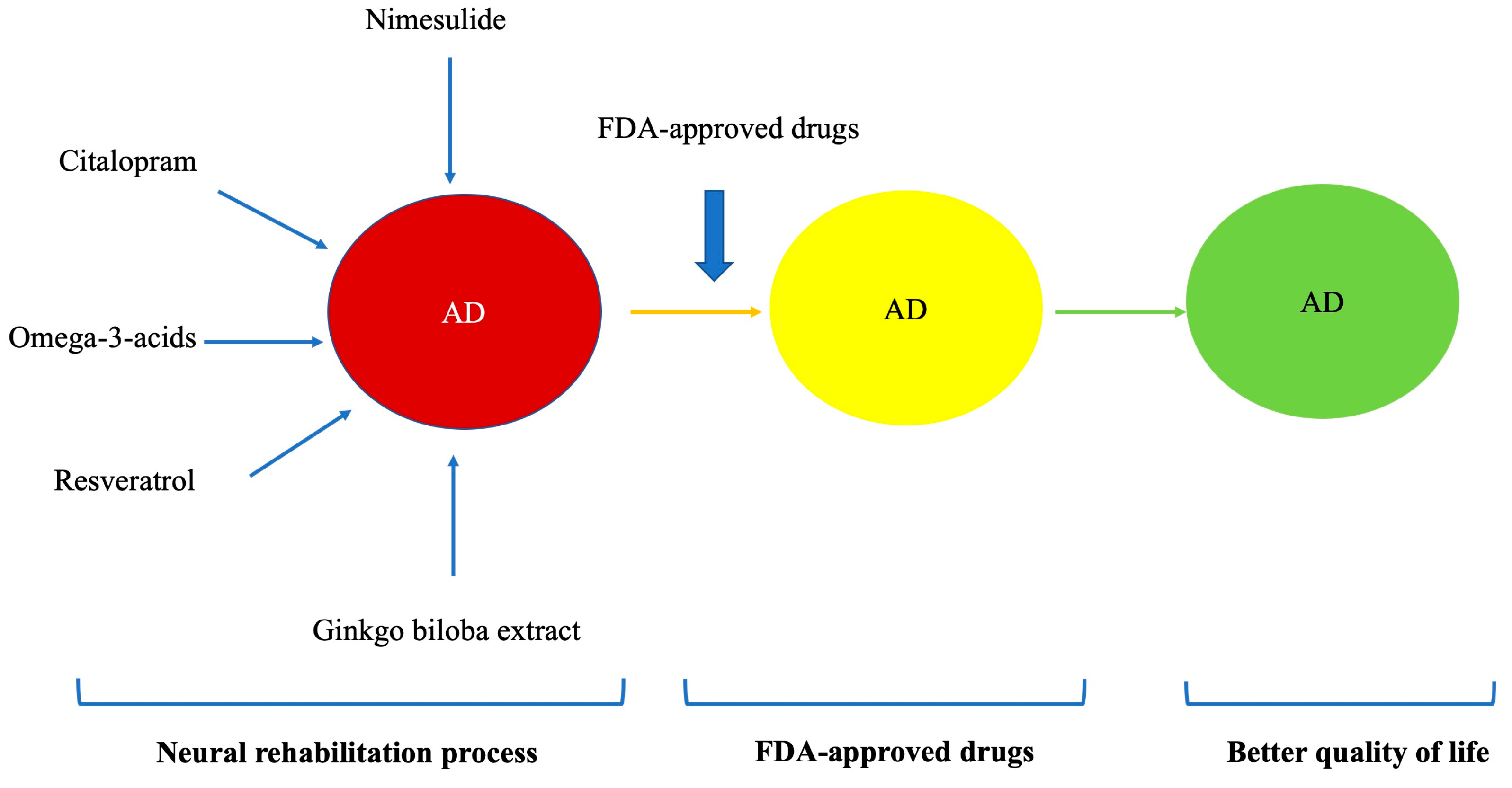 Geriatrics 09 00086 g002