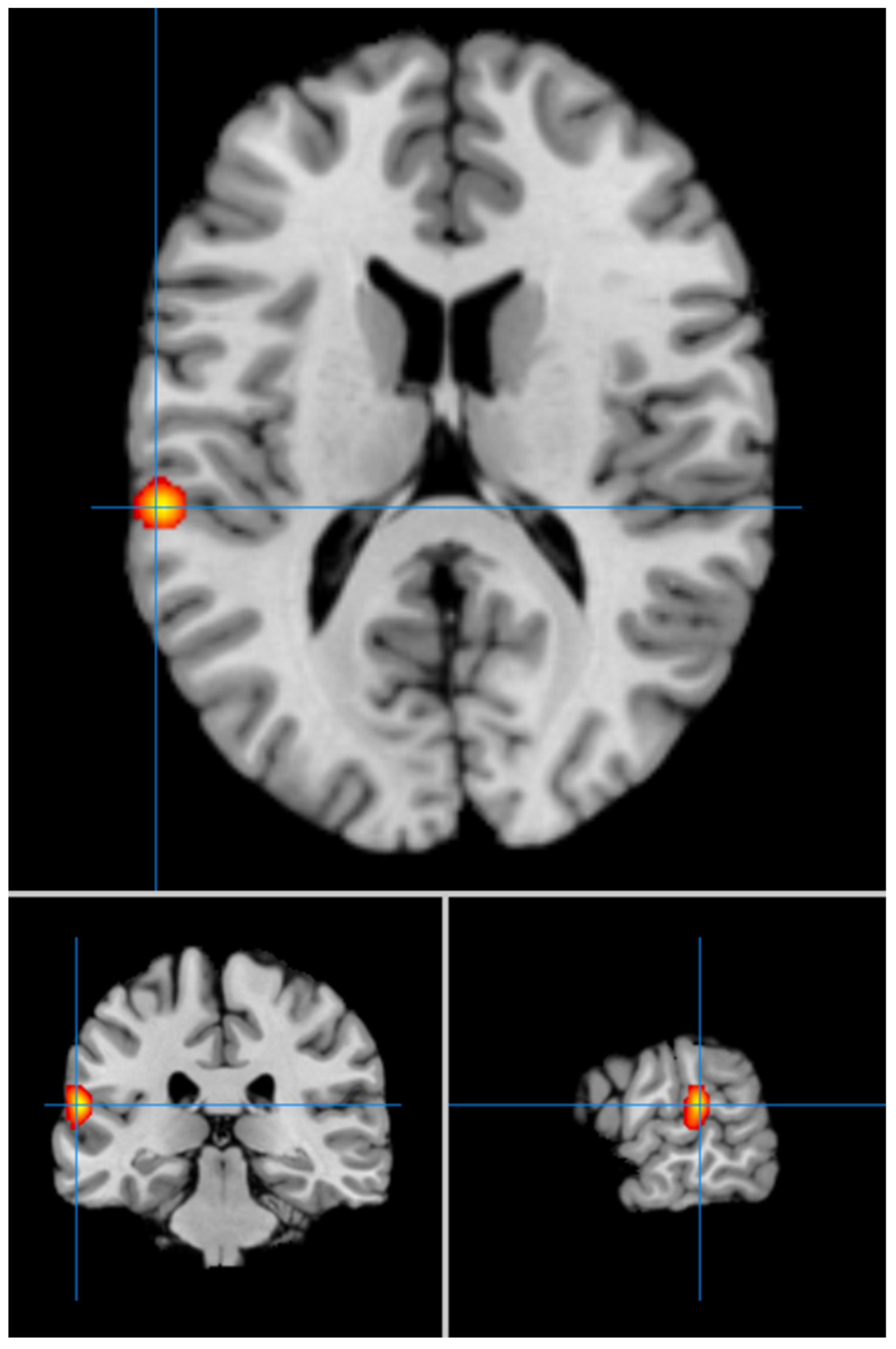 Geriatrics 09 00087 g002