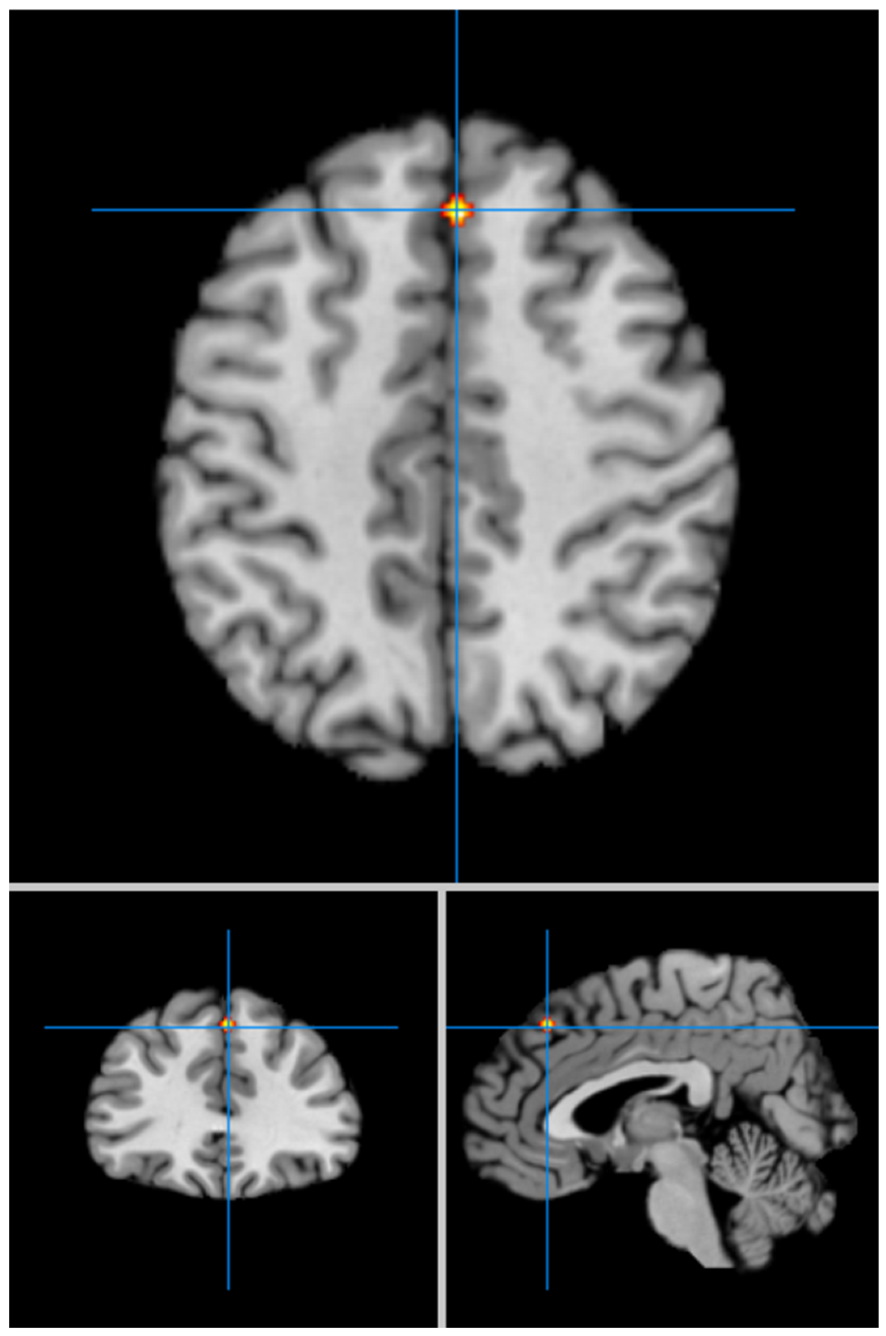 Geriatrics 09 00087 g003