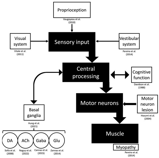 Geriatrics 09 00100 g003