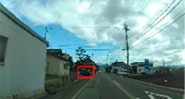 Geriatrics 09 00132 i005