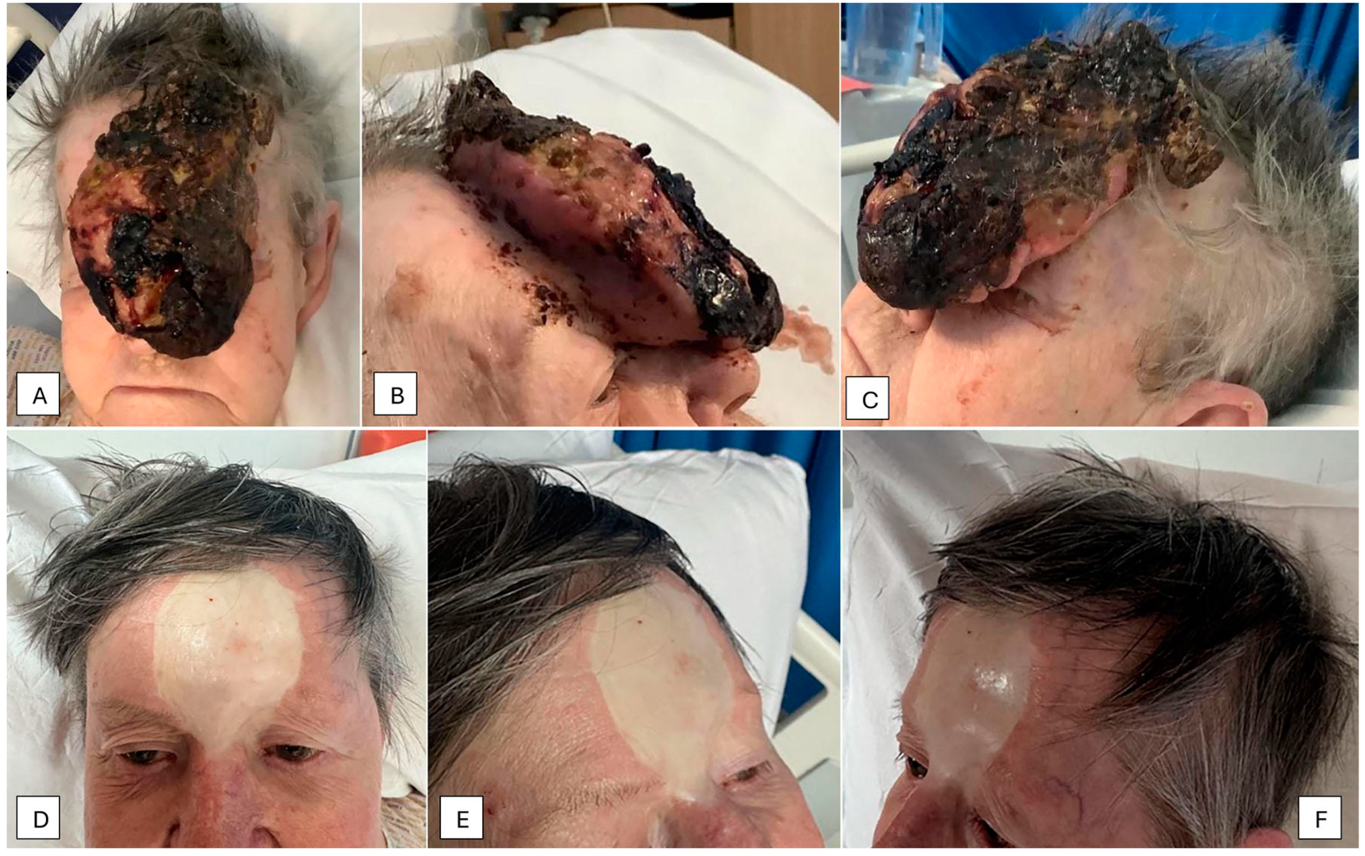 Geriatrics 09 00164 g001