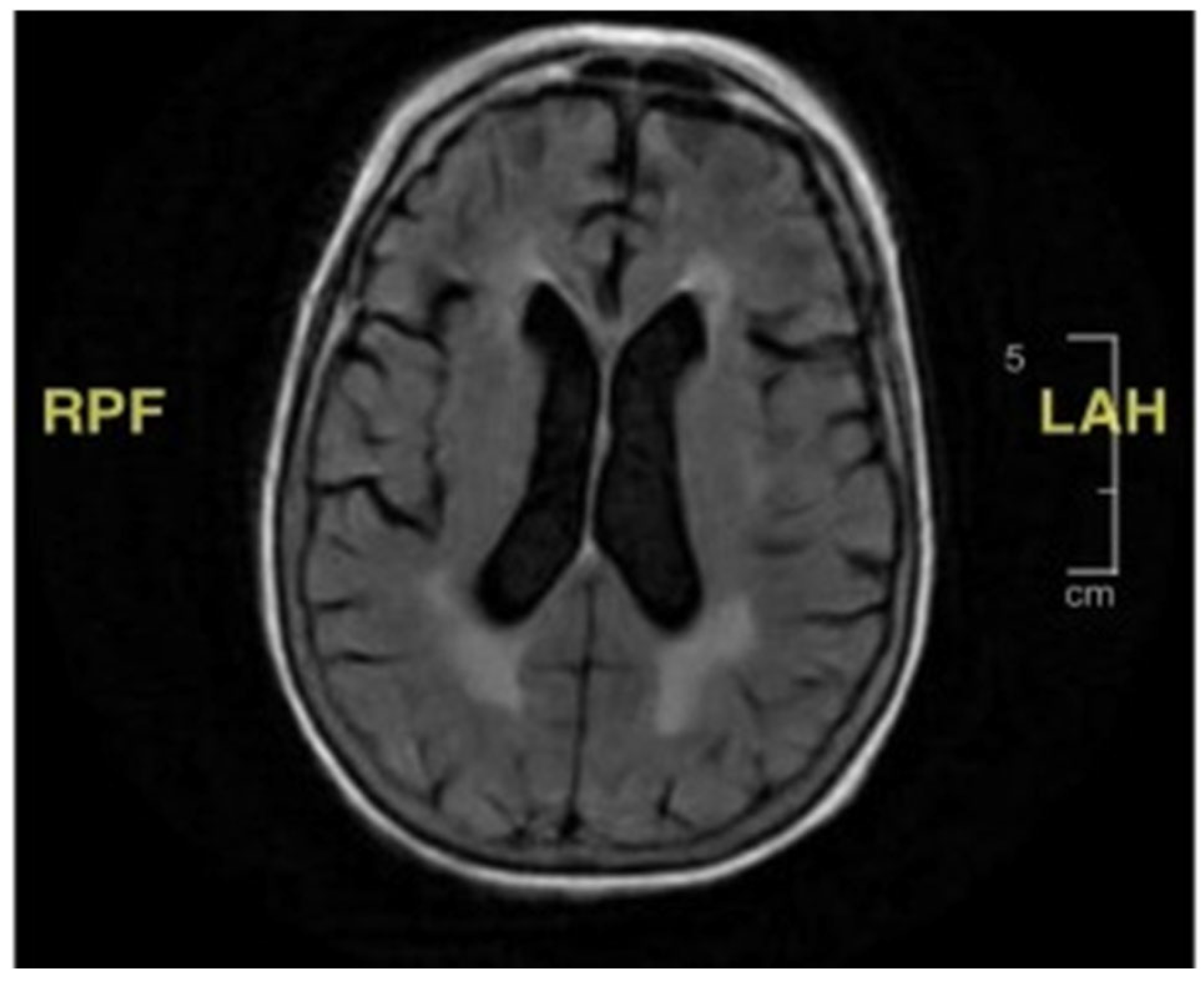 Geriatrics 10 00041 g001