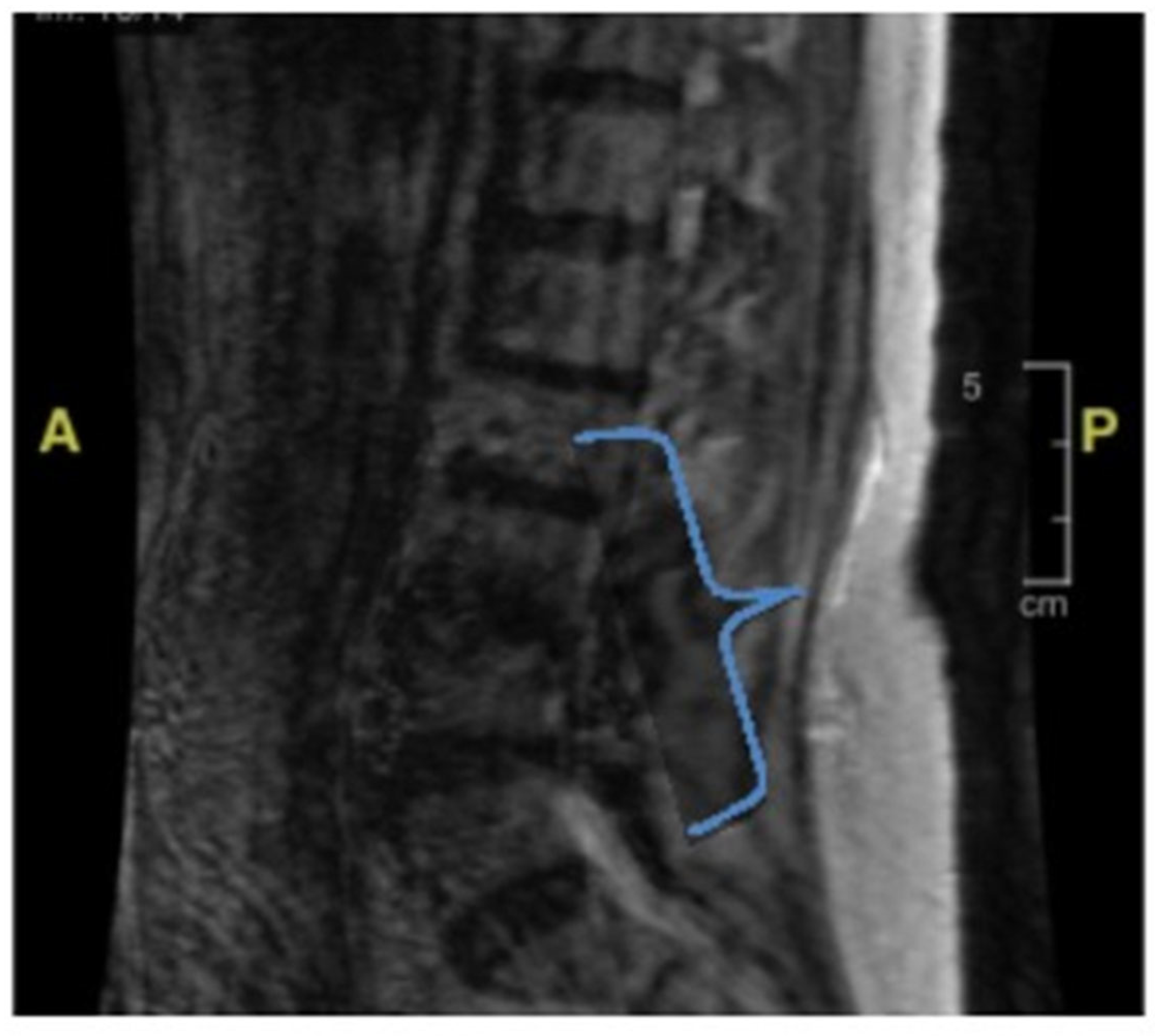 Geriatrics 10 00041 g003
