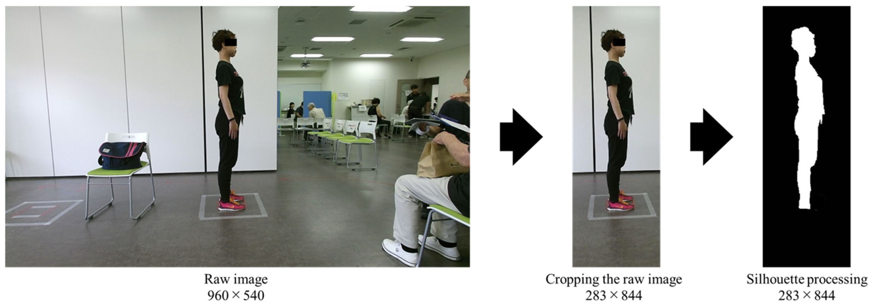 Geriatrics 10 00049 g001