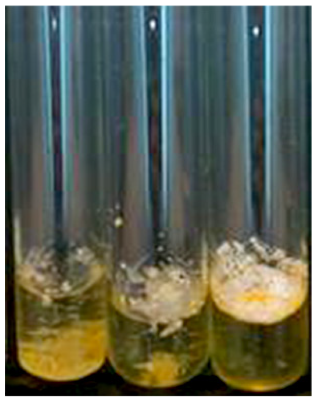 Germs 05 00012 g003 Germs 05 00012 g003
