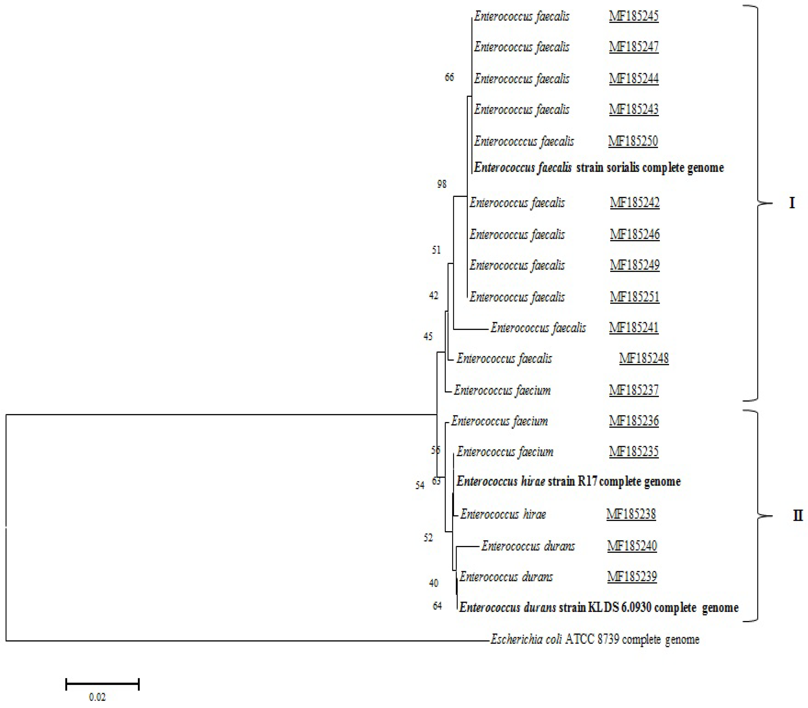 Germs 08 00077 g001 Germs 08 00077 g001