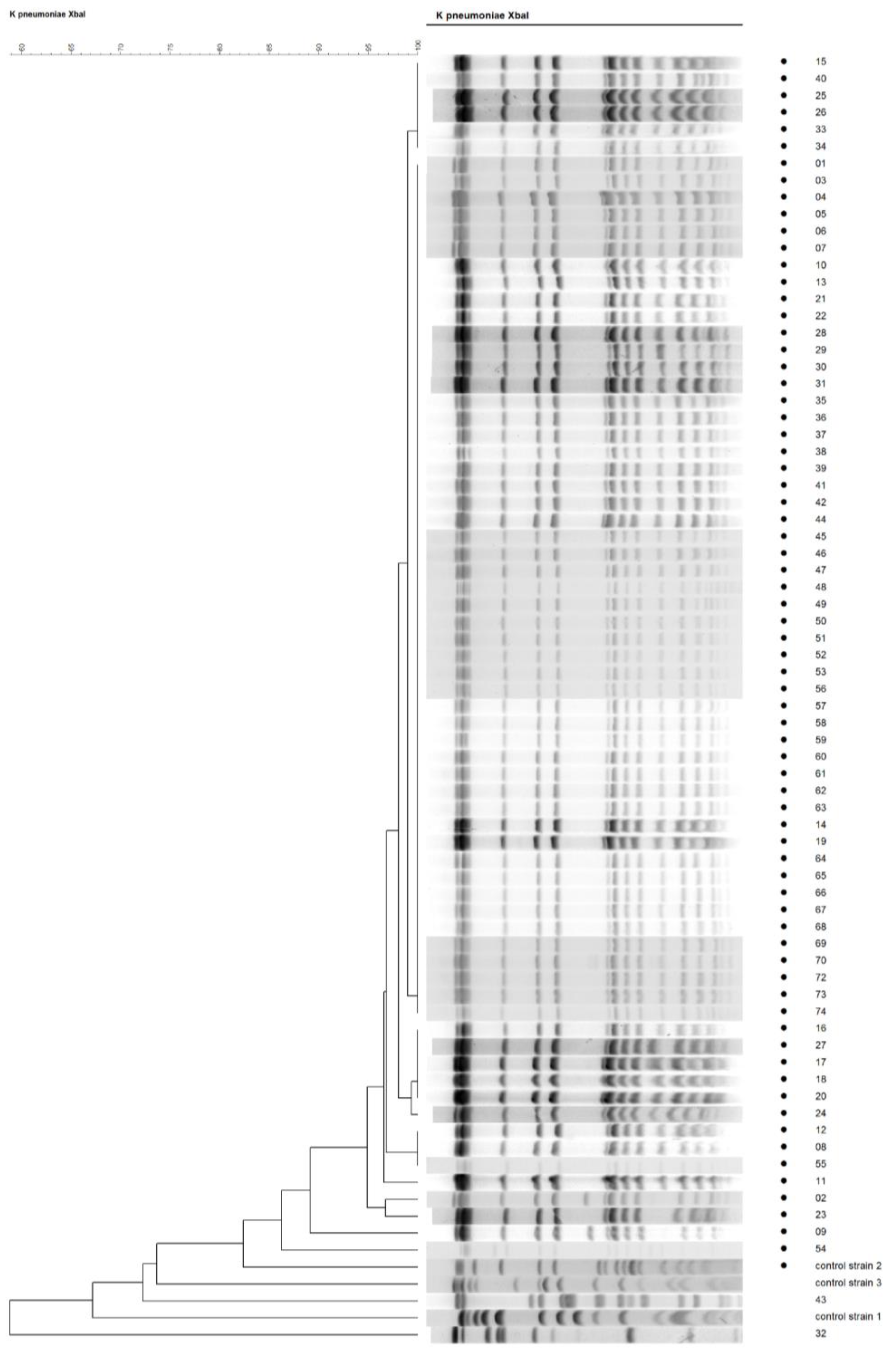 Germs 11 00199 g001 Germs 11 00199 g001