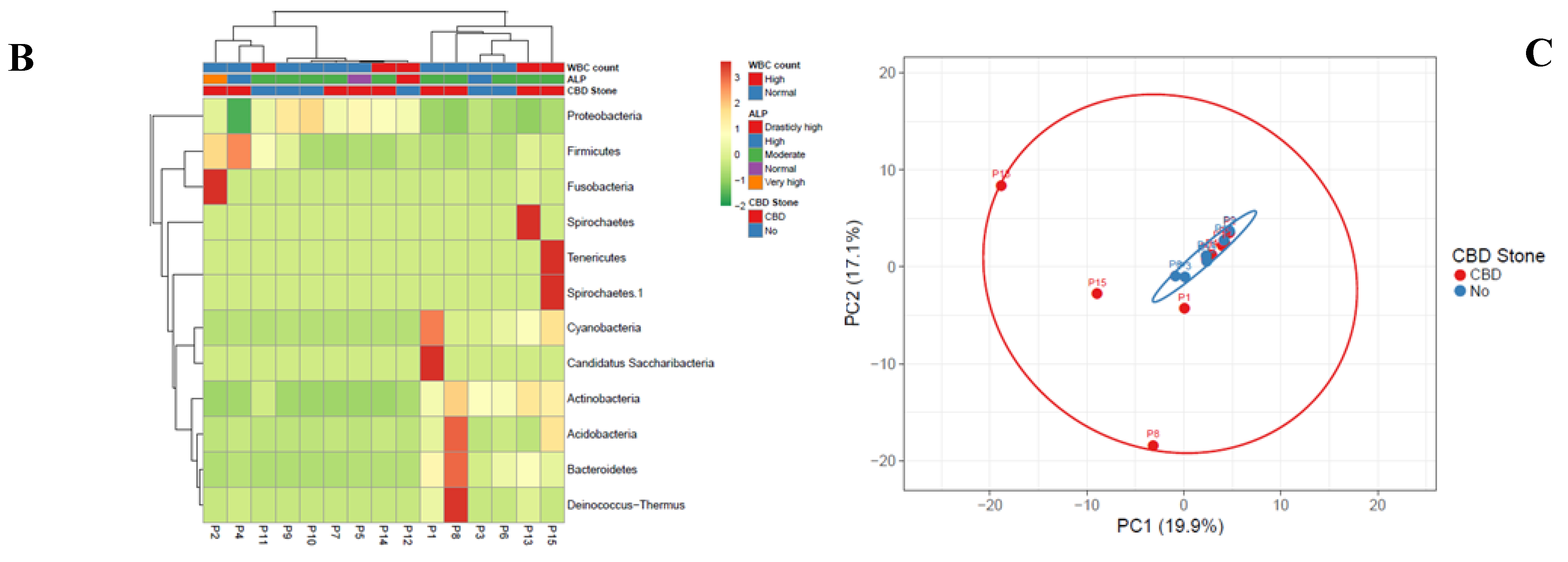Germs 13 00238 g001b