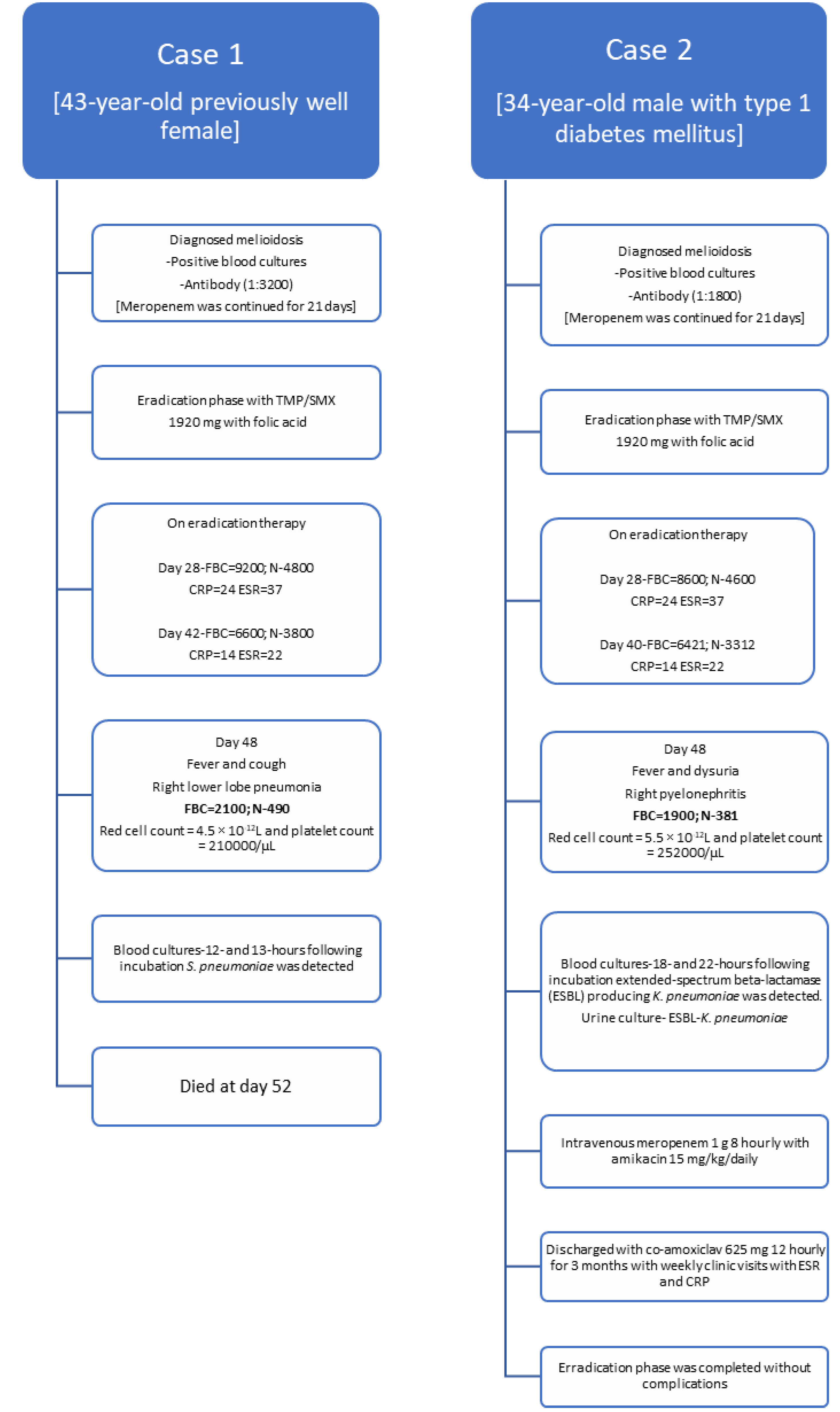 Germs 13 00266 g001 Germs 13 00266 g001
