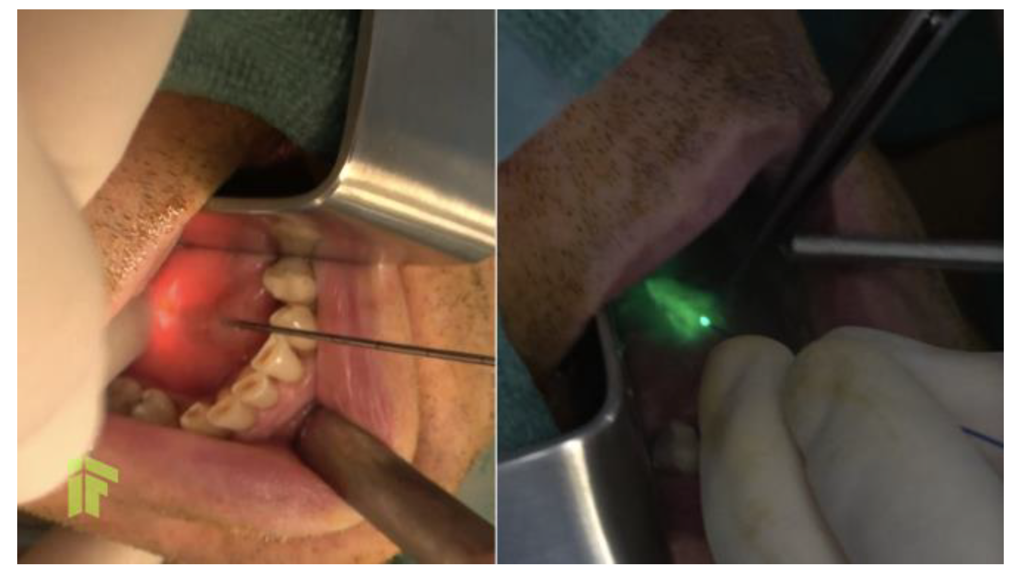 Germs 13 00288 g002 Germs 13 00288 g002