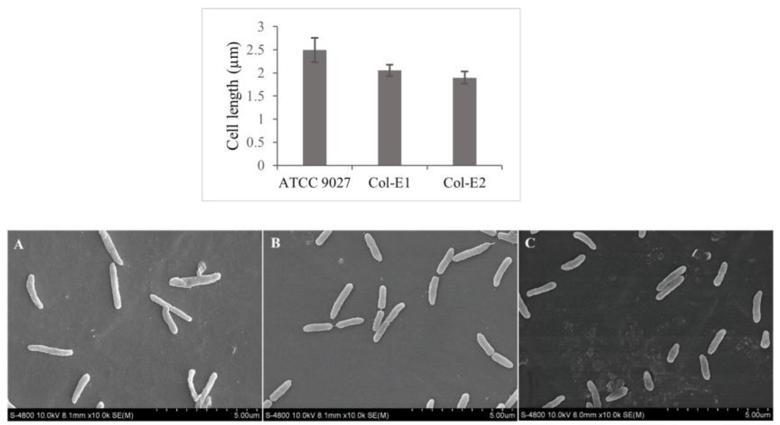 Germs 14 00246 g002