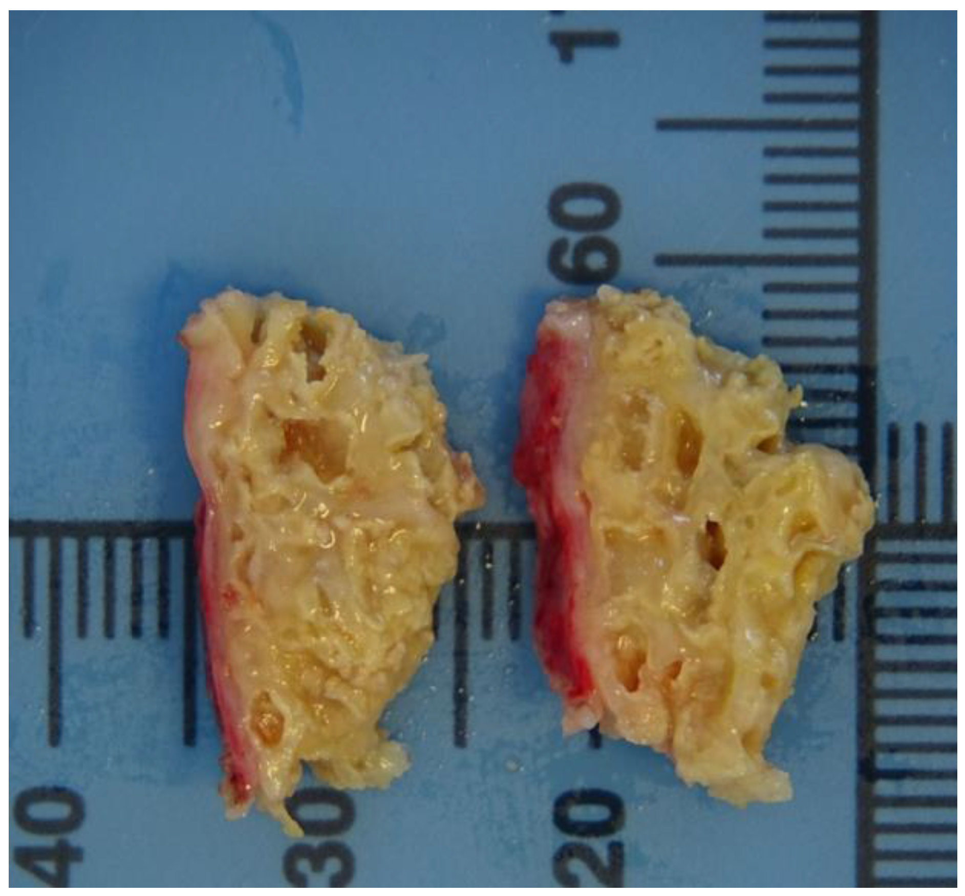 Germs 14 00287 g003 Germs 14 00287 g003