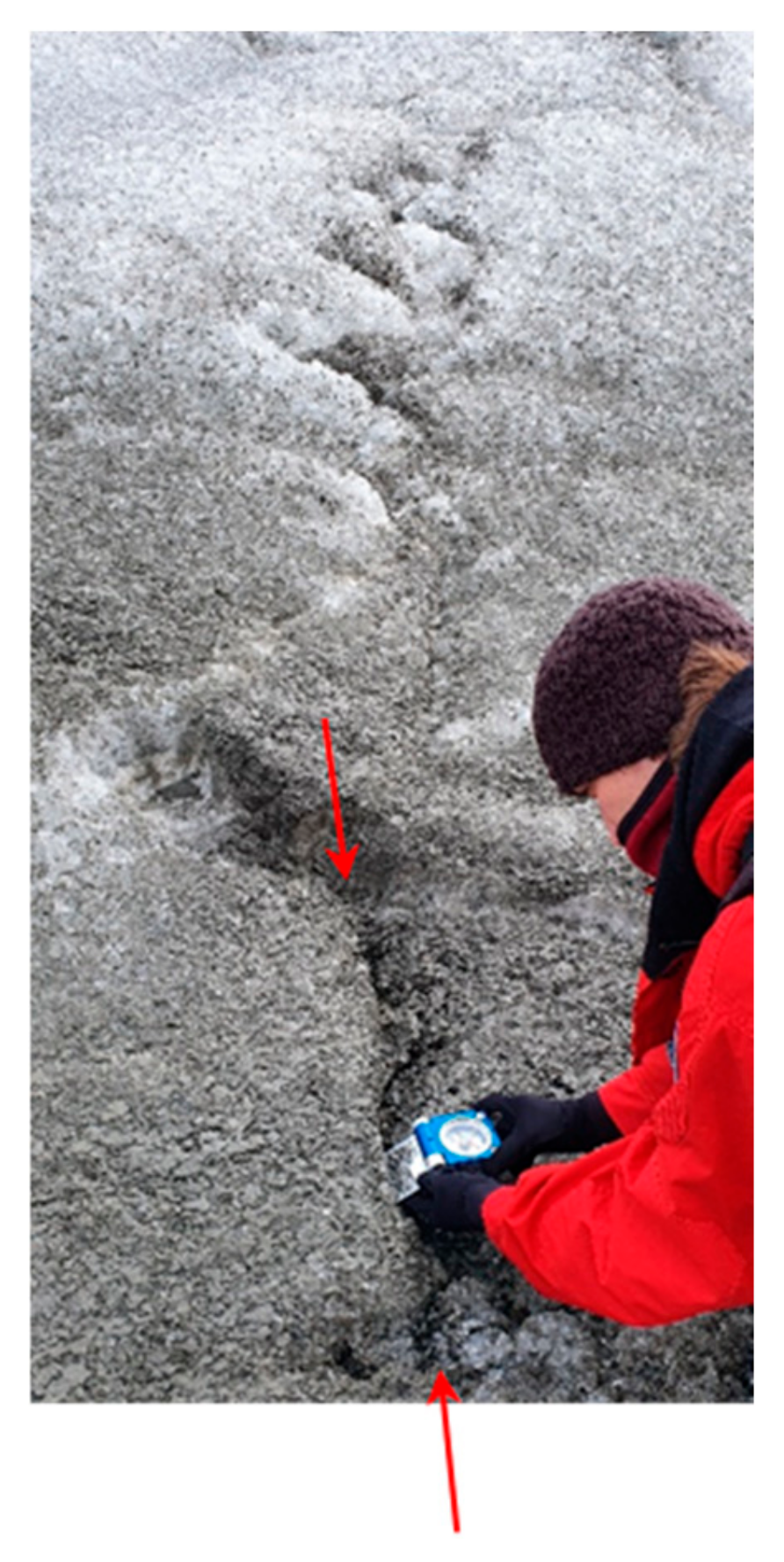 Glacies 02 00004 g006