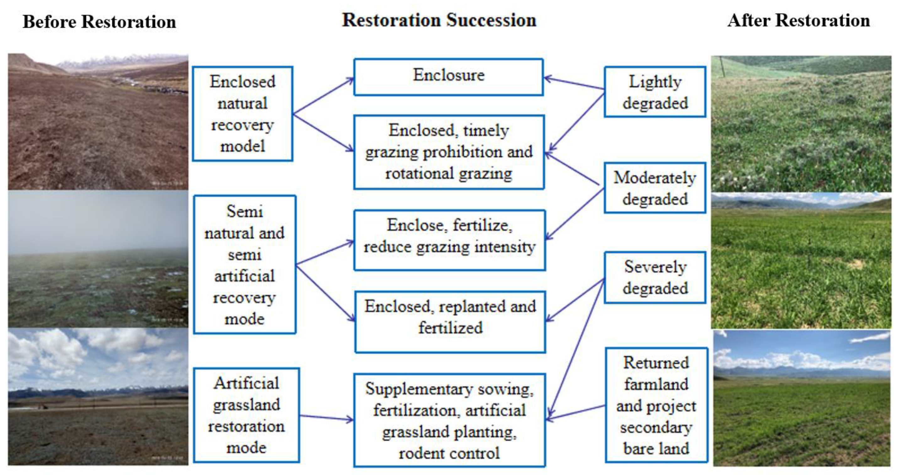 Grasses 02 00004 g001